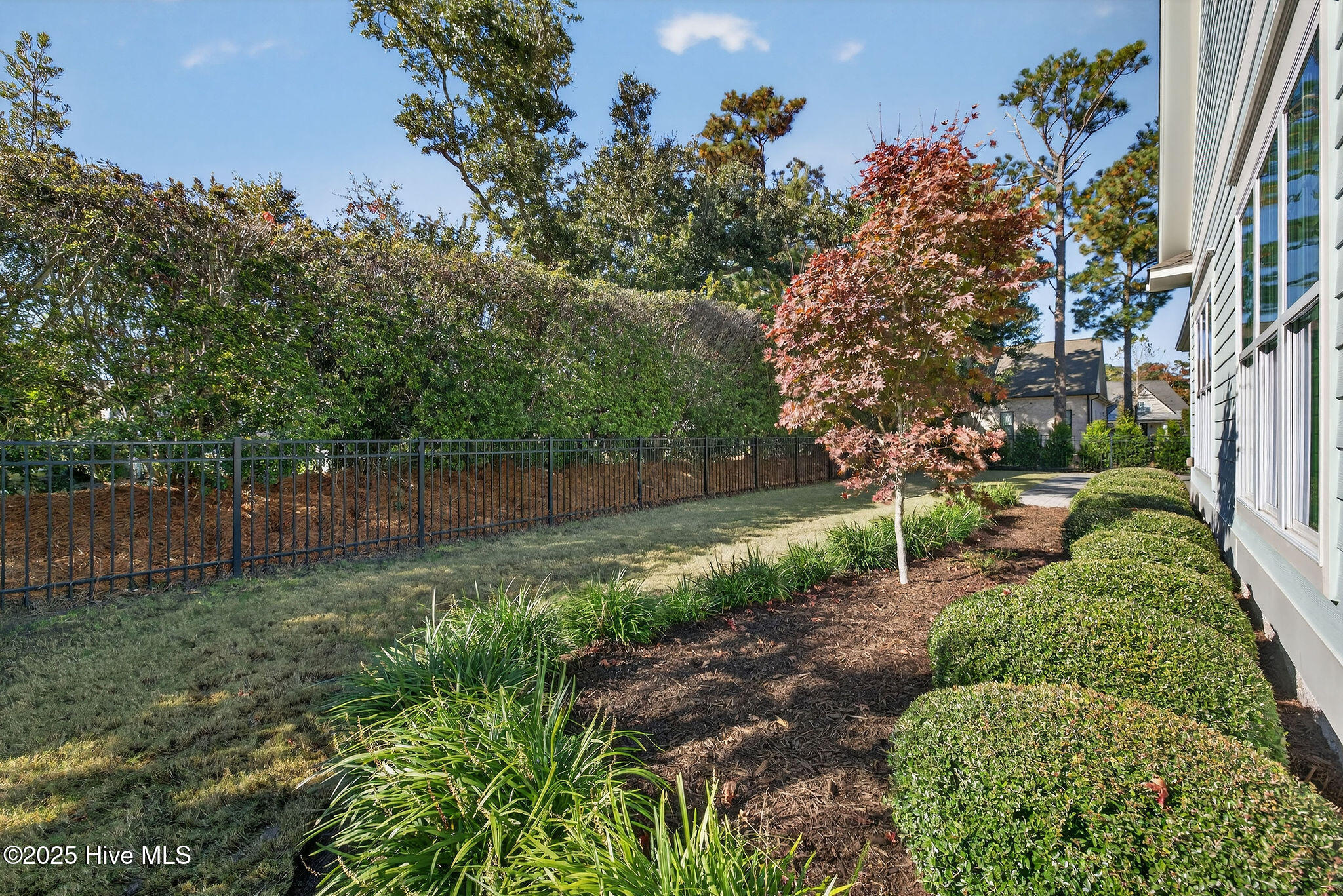 100559766 | Photo 69