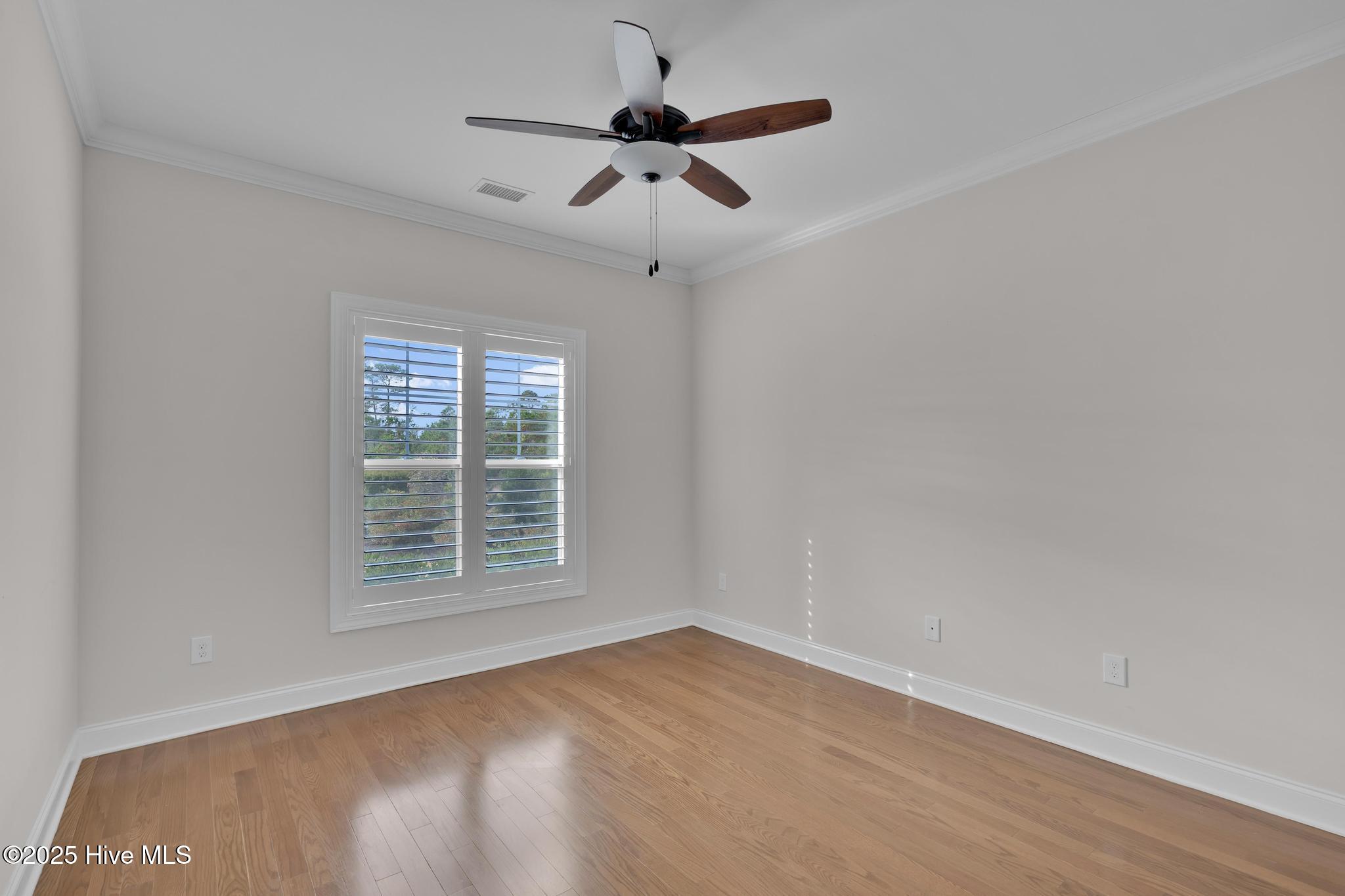 100542823 | Photo 35