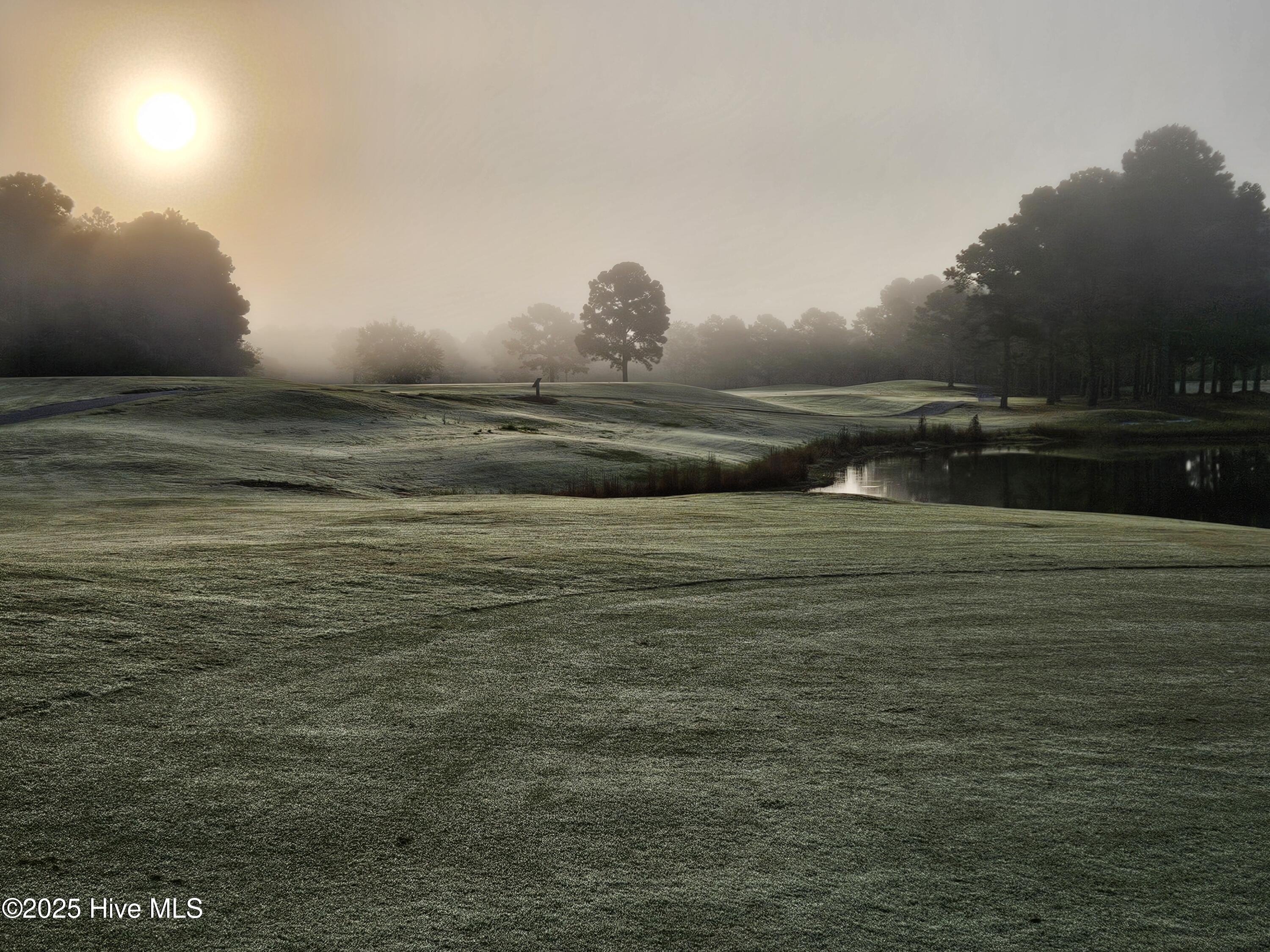 100542567 | Photo 67