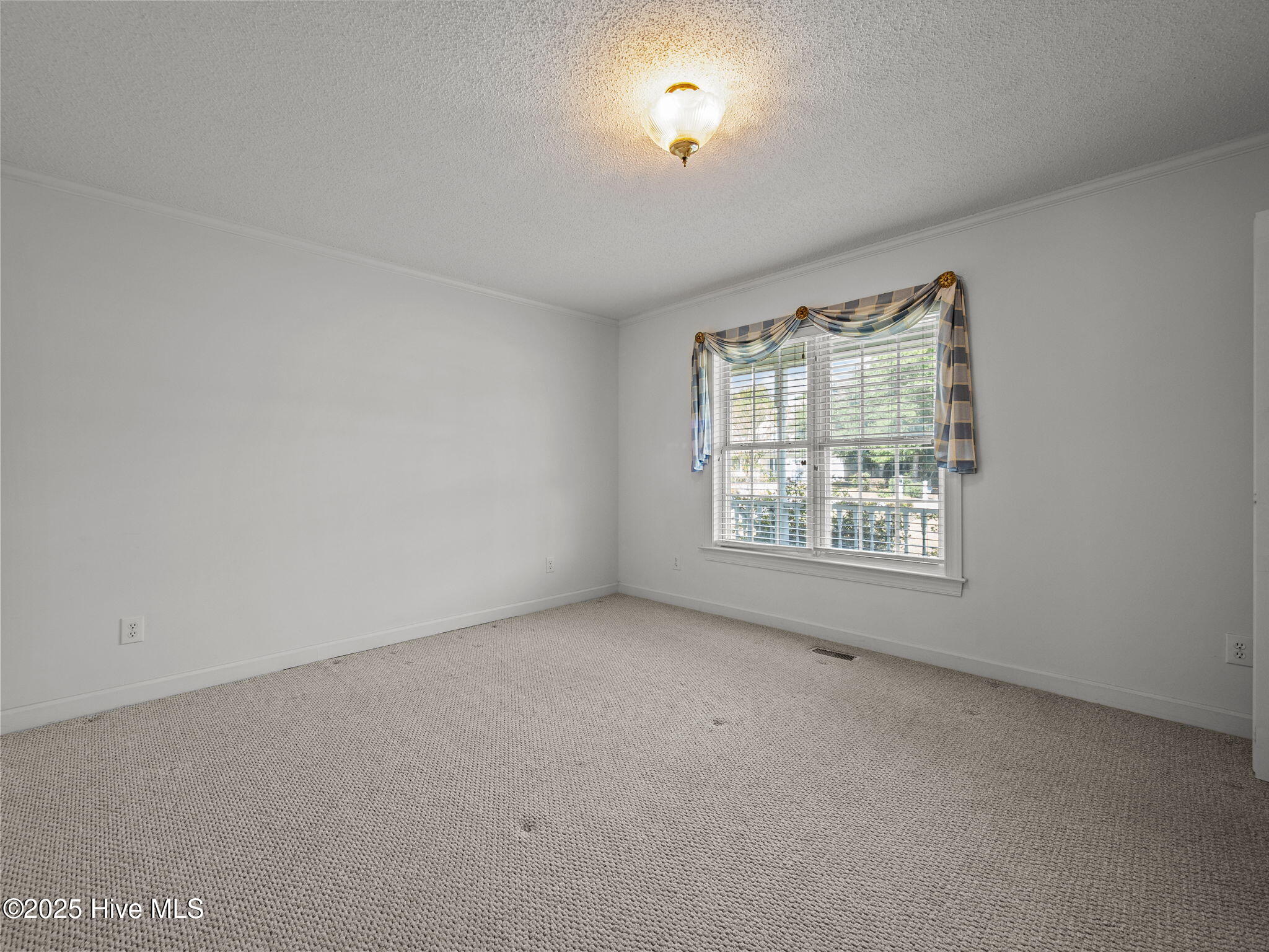 100534151 | Photo 29