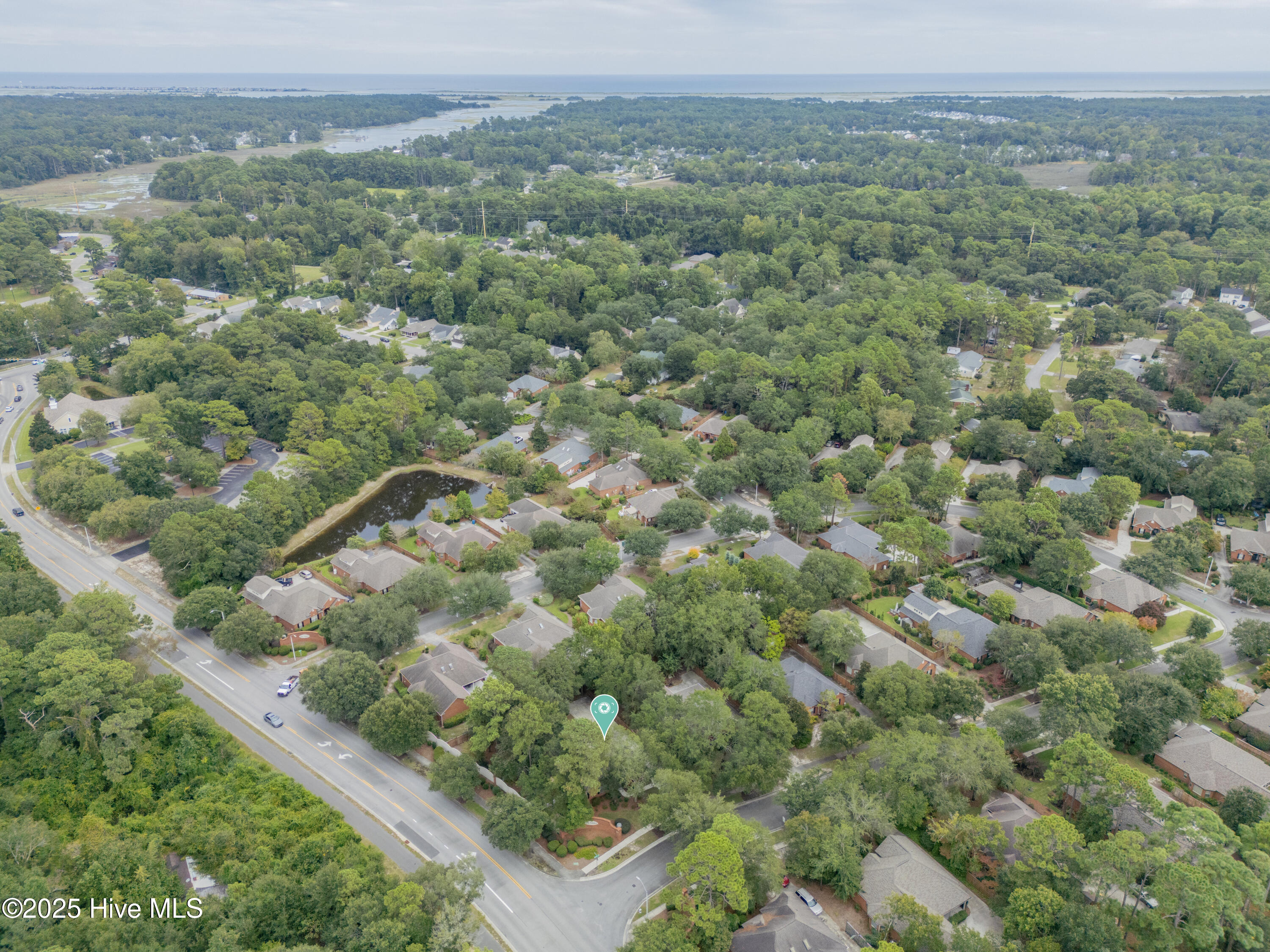 100530959 | Photo 31