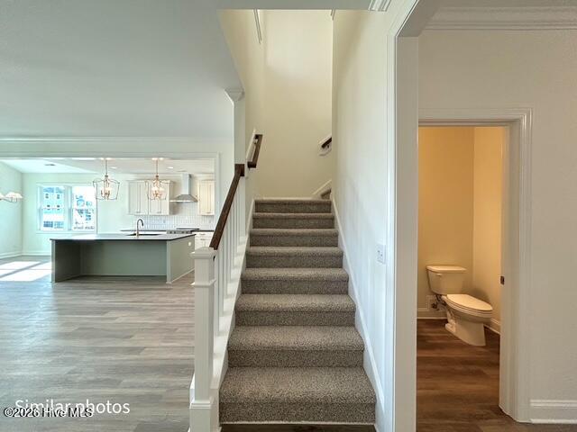 100535457 | Photo 43