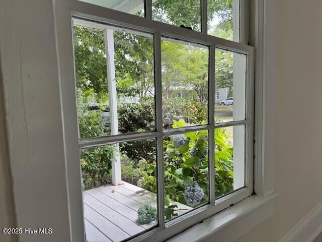 hydranga out the window