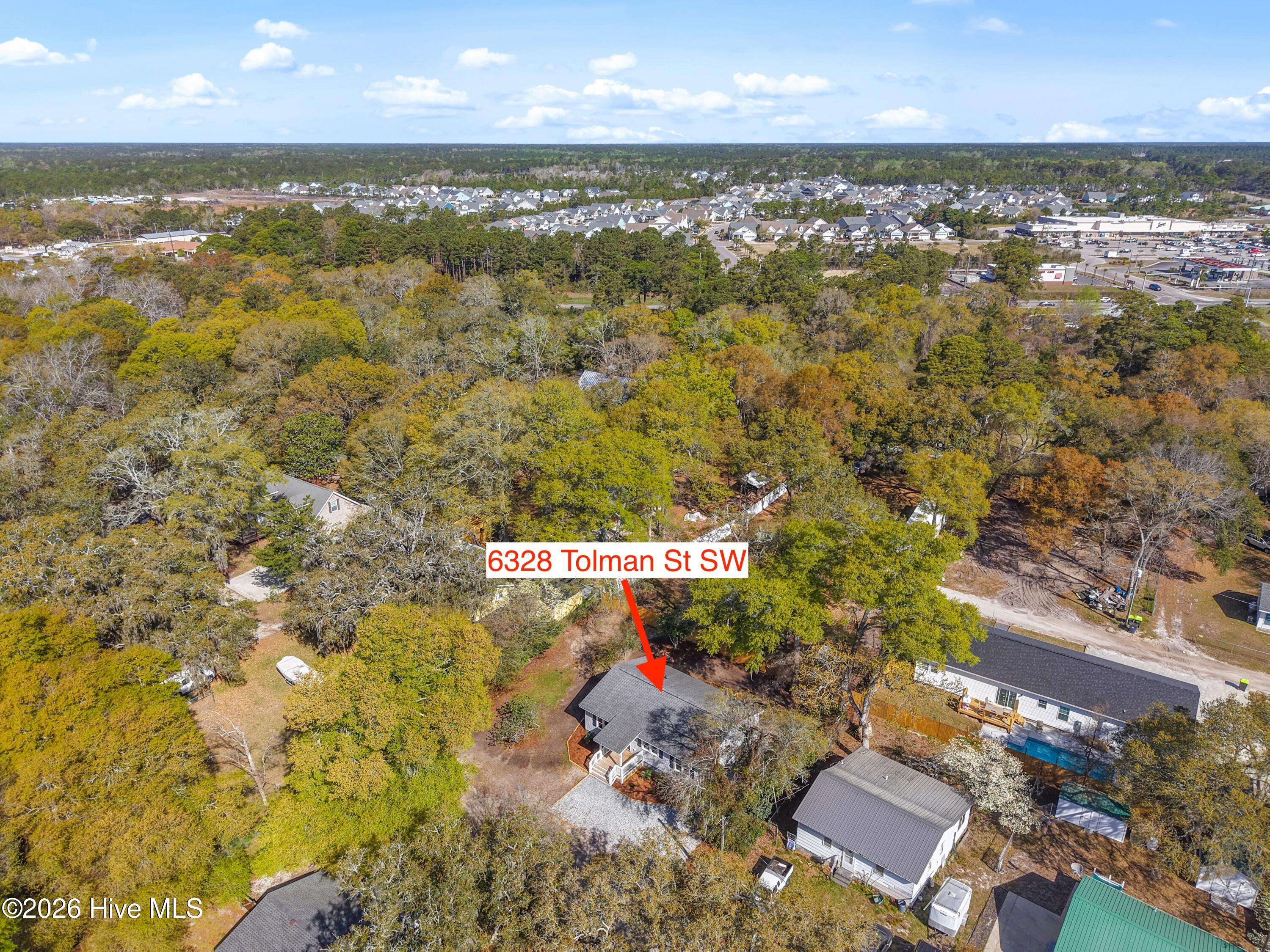 100564131 | Photo 38