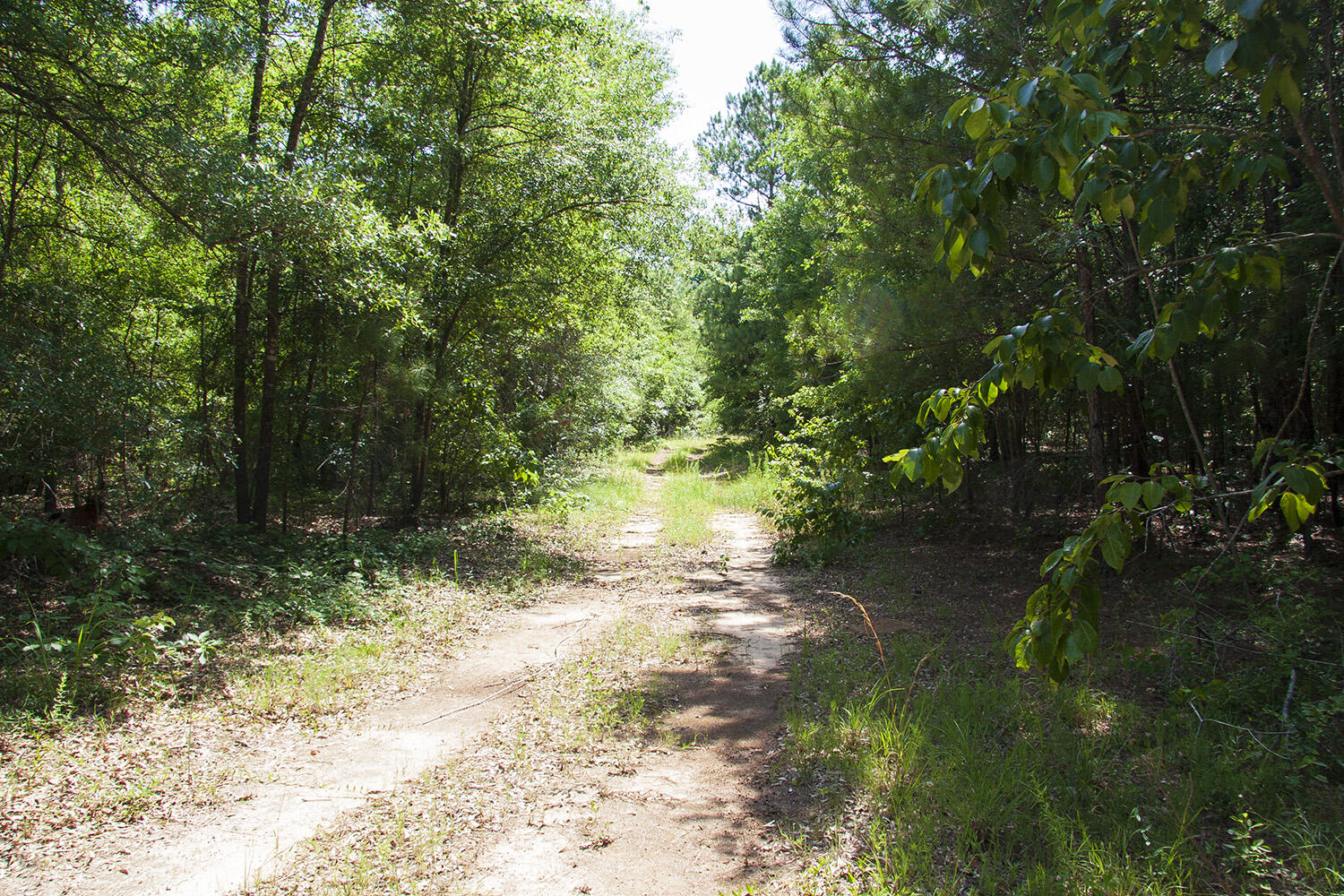 1515C HEPHZIBAH - MCBEAN Road, Hephzibah, GA, 30815