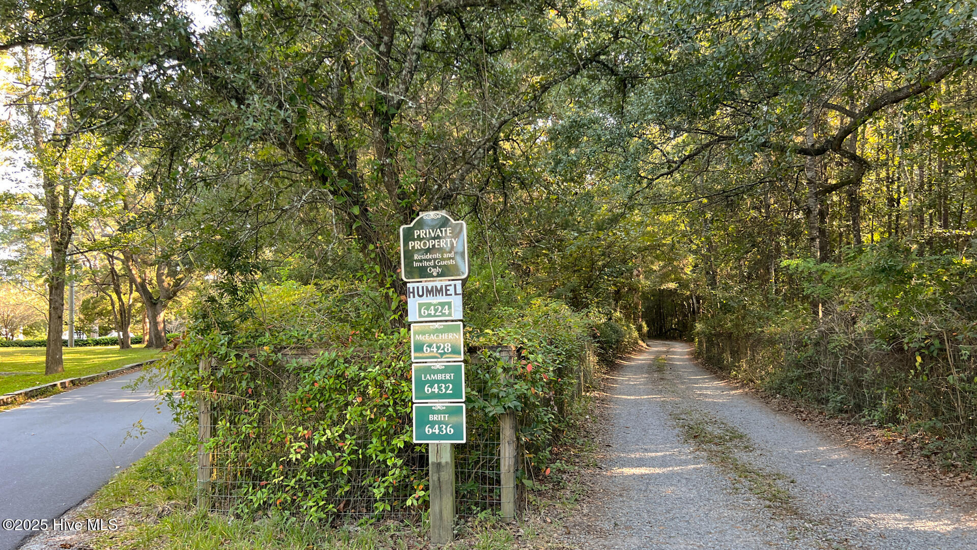 100535774 | Photo 49