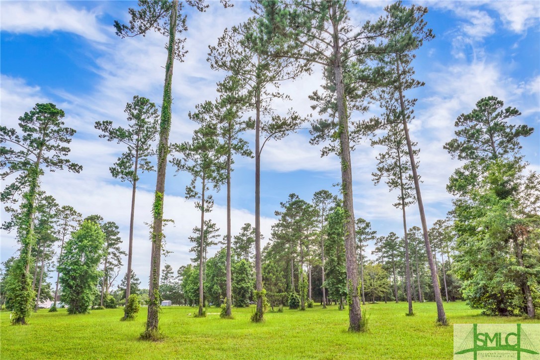 Homes for sale in Townsend, GA | Lot 24 River View Ct, Townsend, GA 31331 | MLS# SA274376