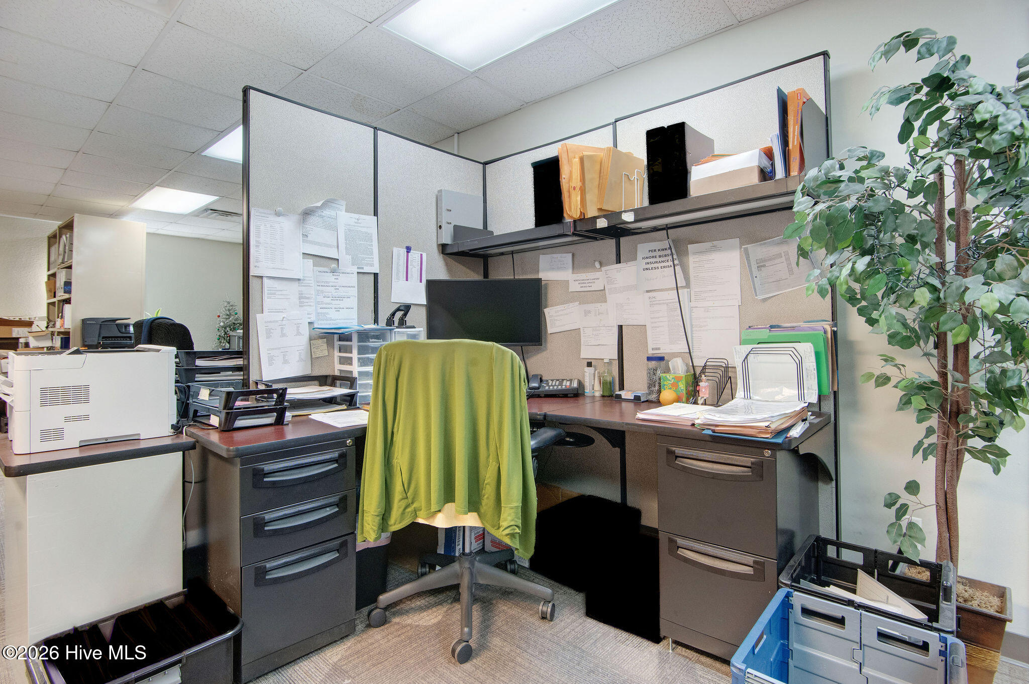 112 Old Bridge Street, Jacksonville, NC, 28540