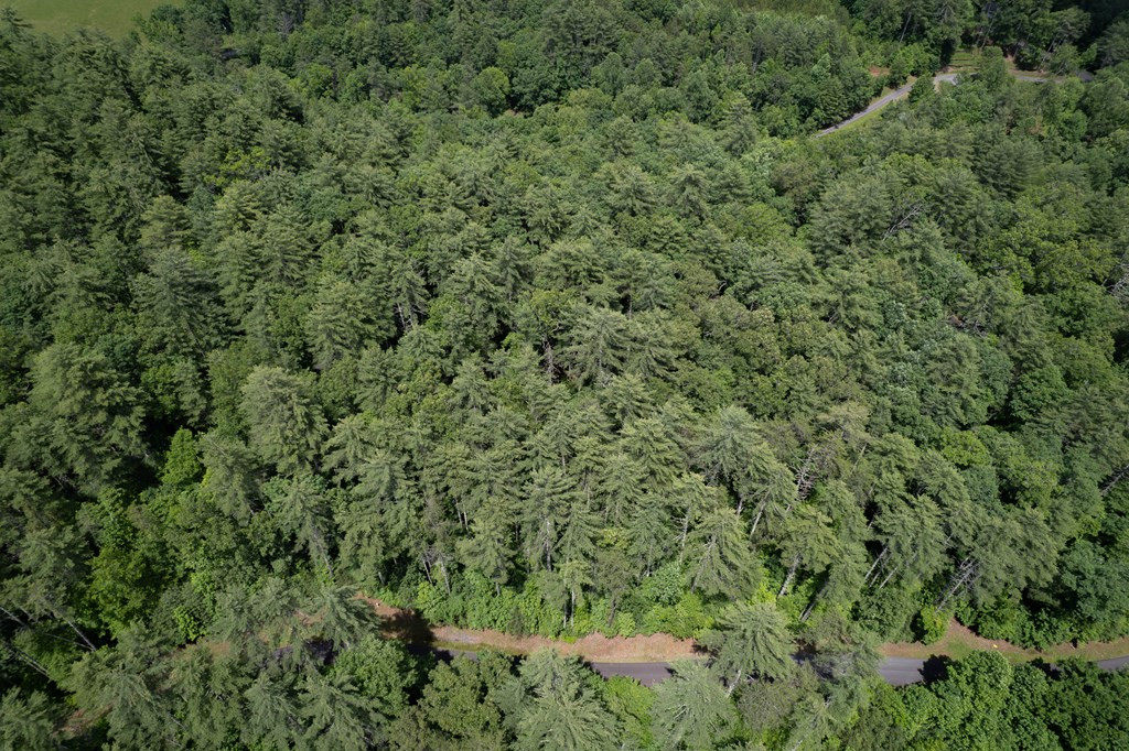 Exterior photo of TBD Spectacular Boulevard, Hayesville, NC 28904. MLS: 98544102