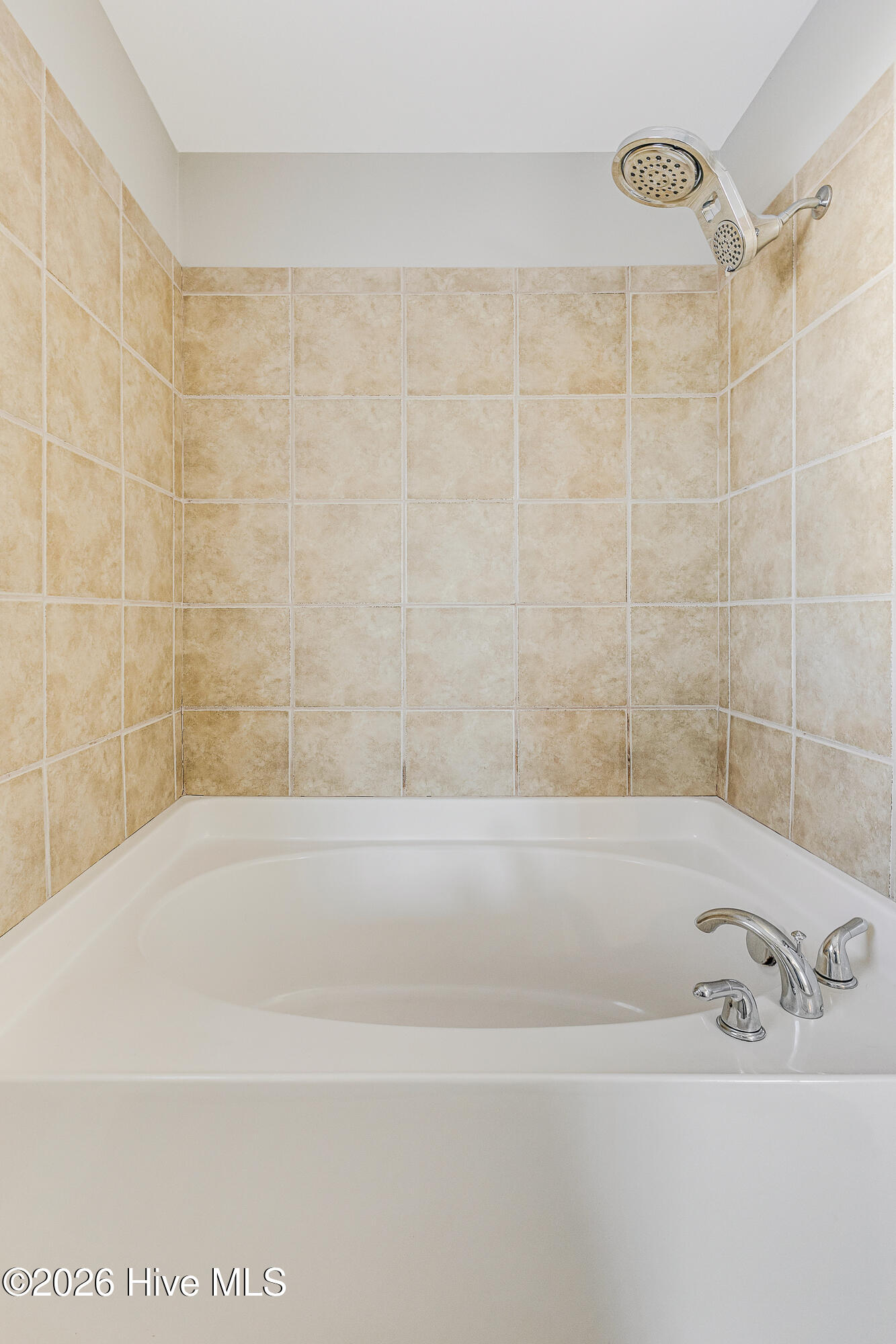 100559243 | Photo 19