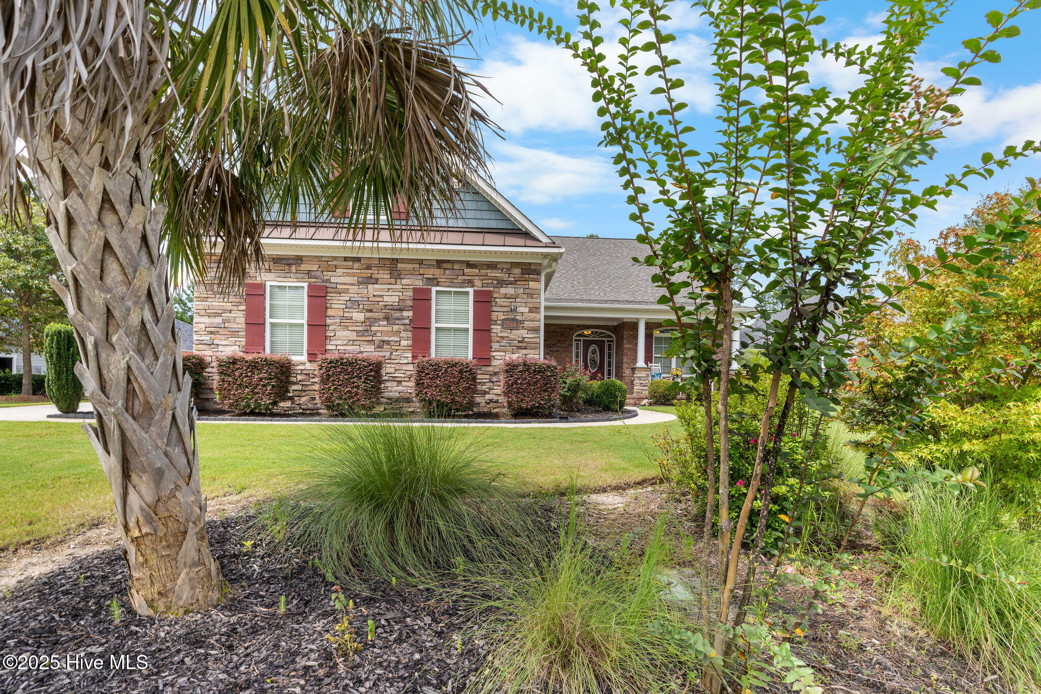 100524578 | Photo 11