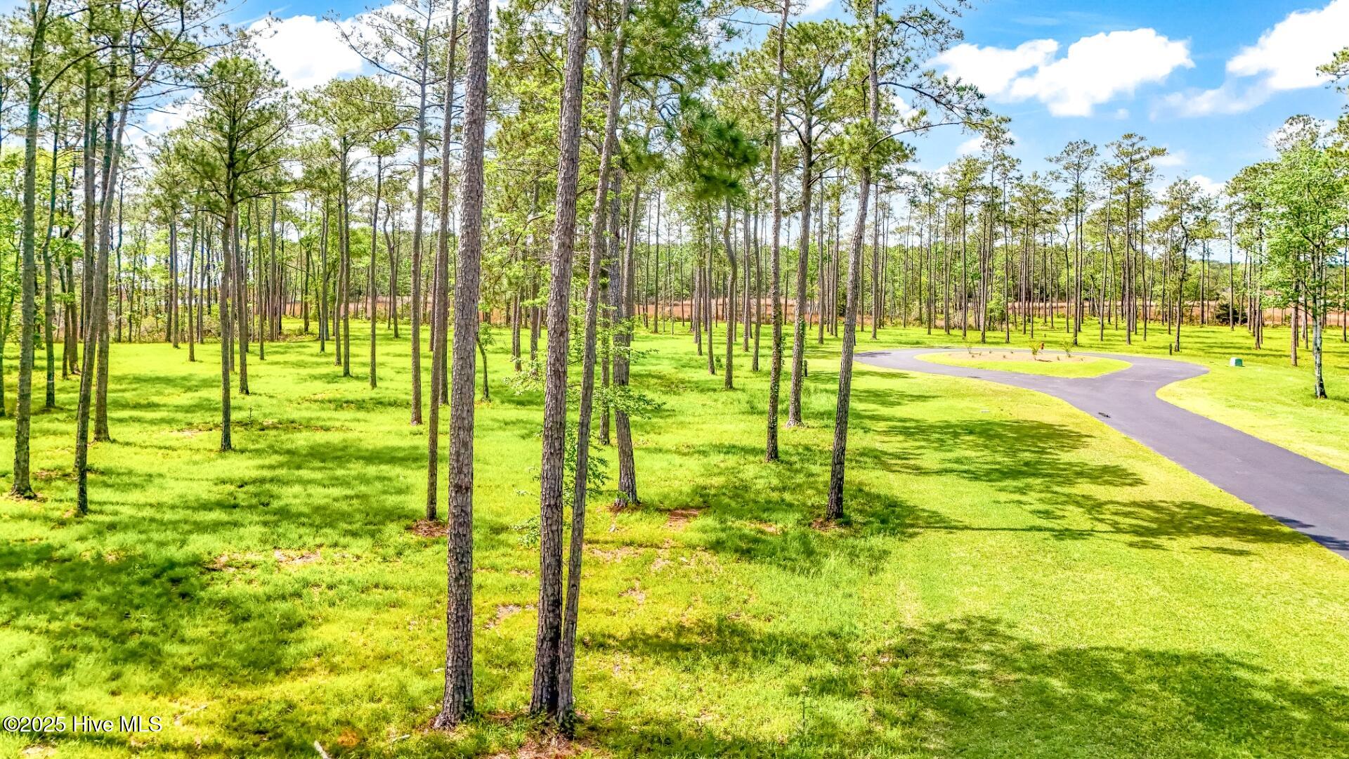 175 River Watch Road, Oriental, NC, 28571