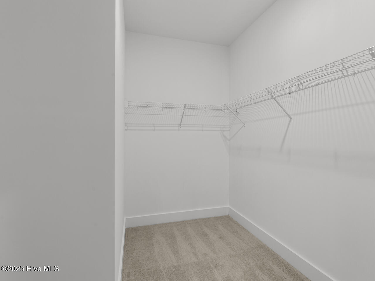 100515961 | Photo 28