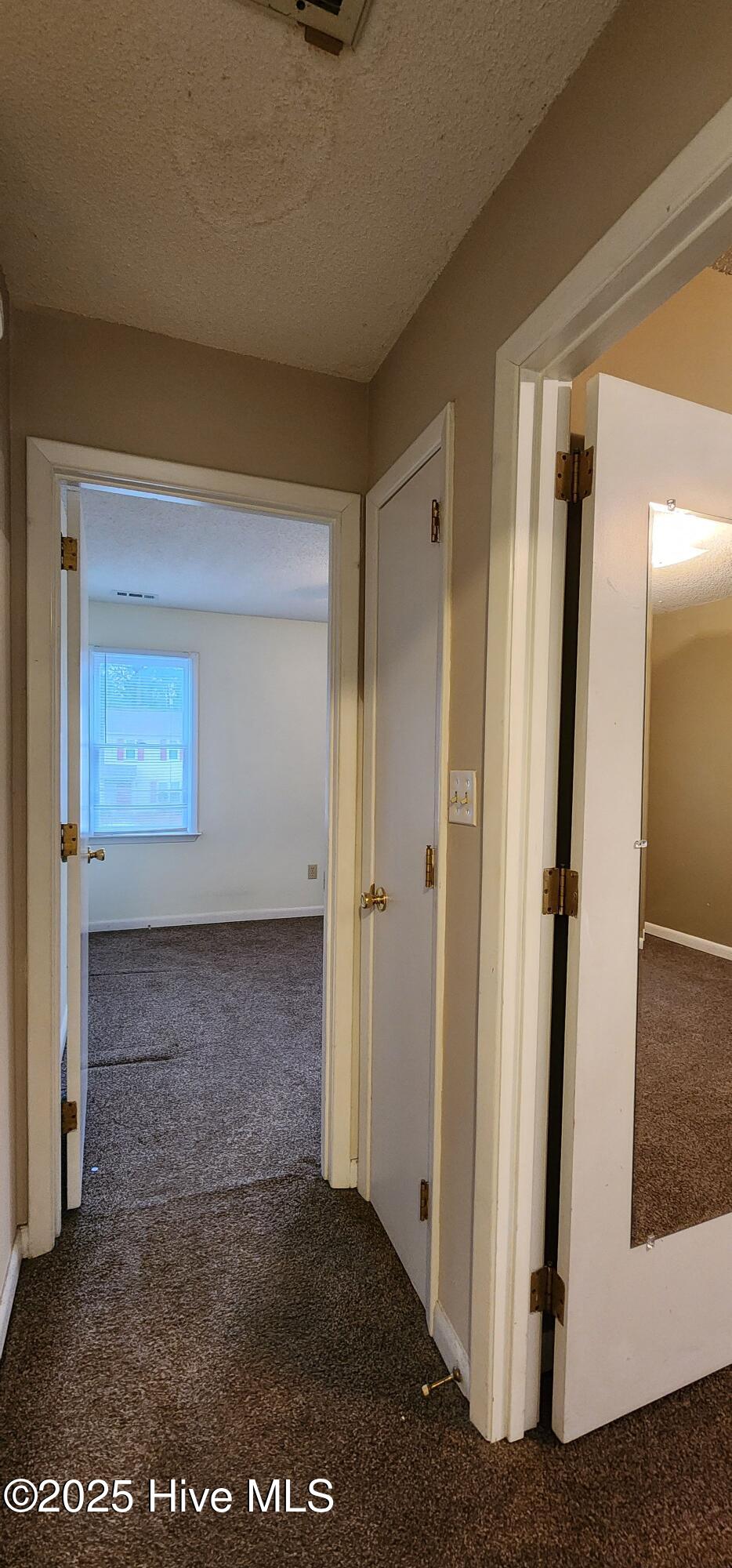 100533797 | Photo 16