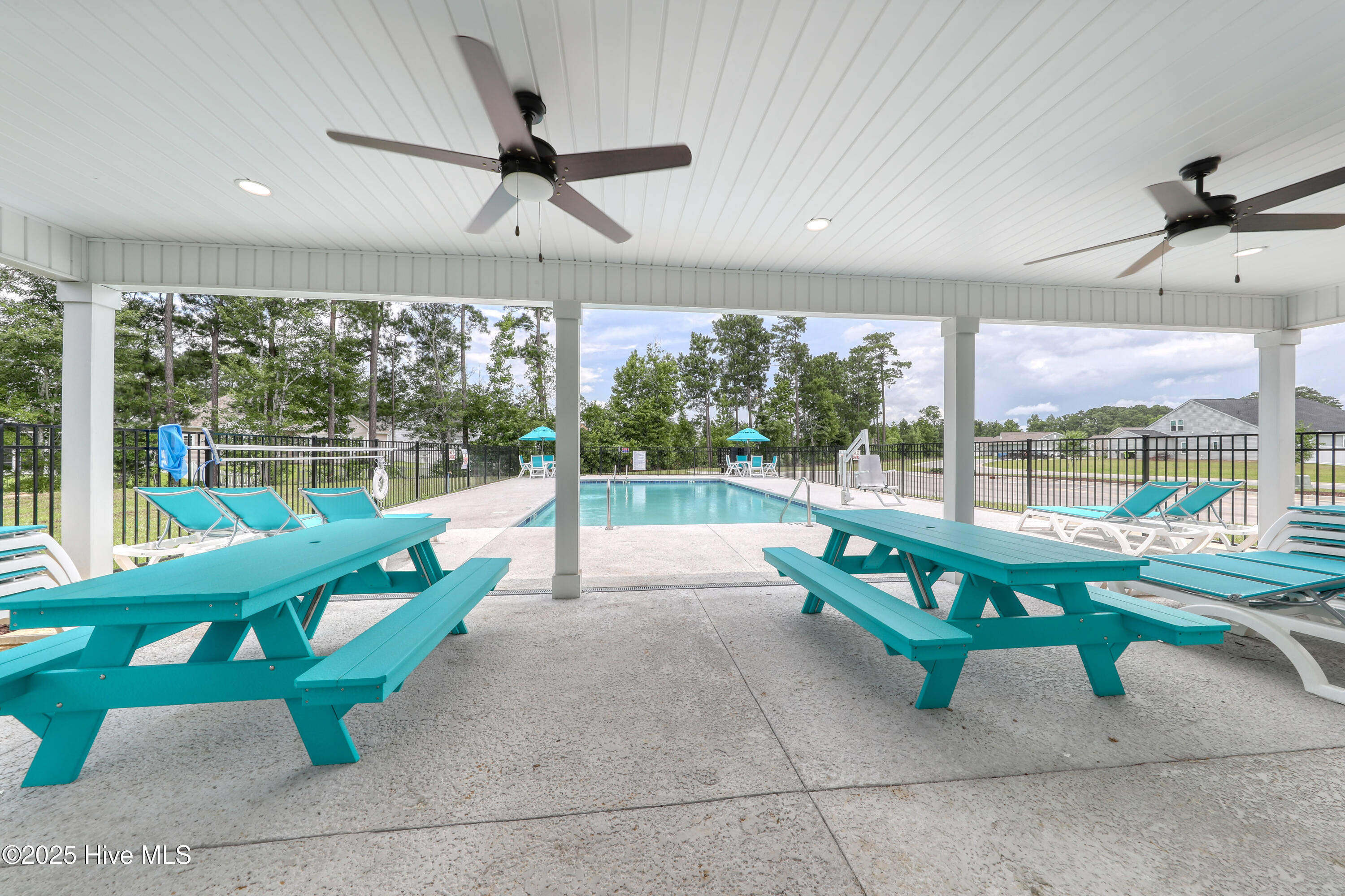 100554167 | Photo 29