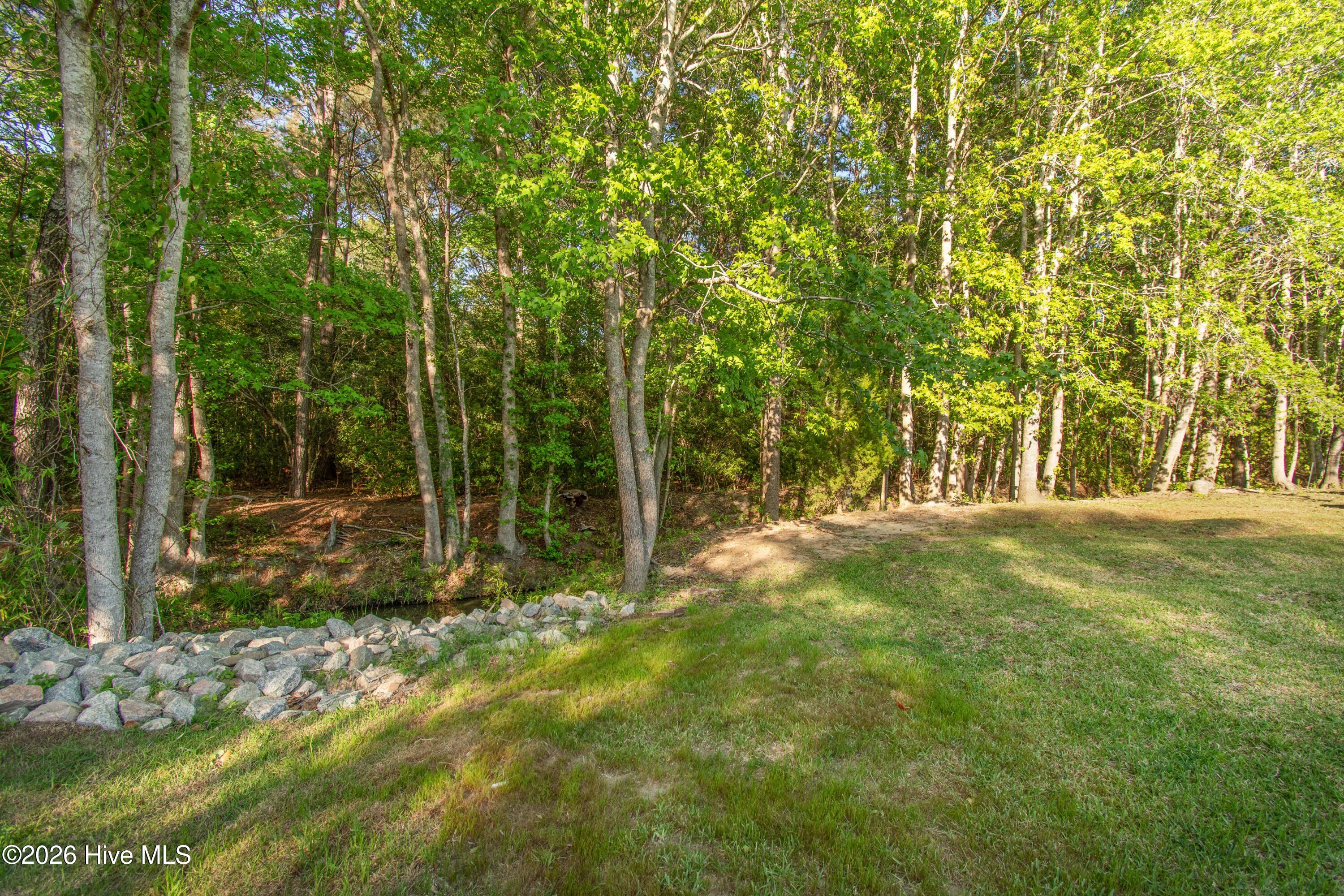 100568231 | Photo 14