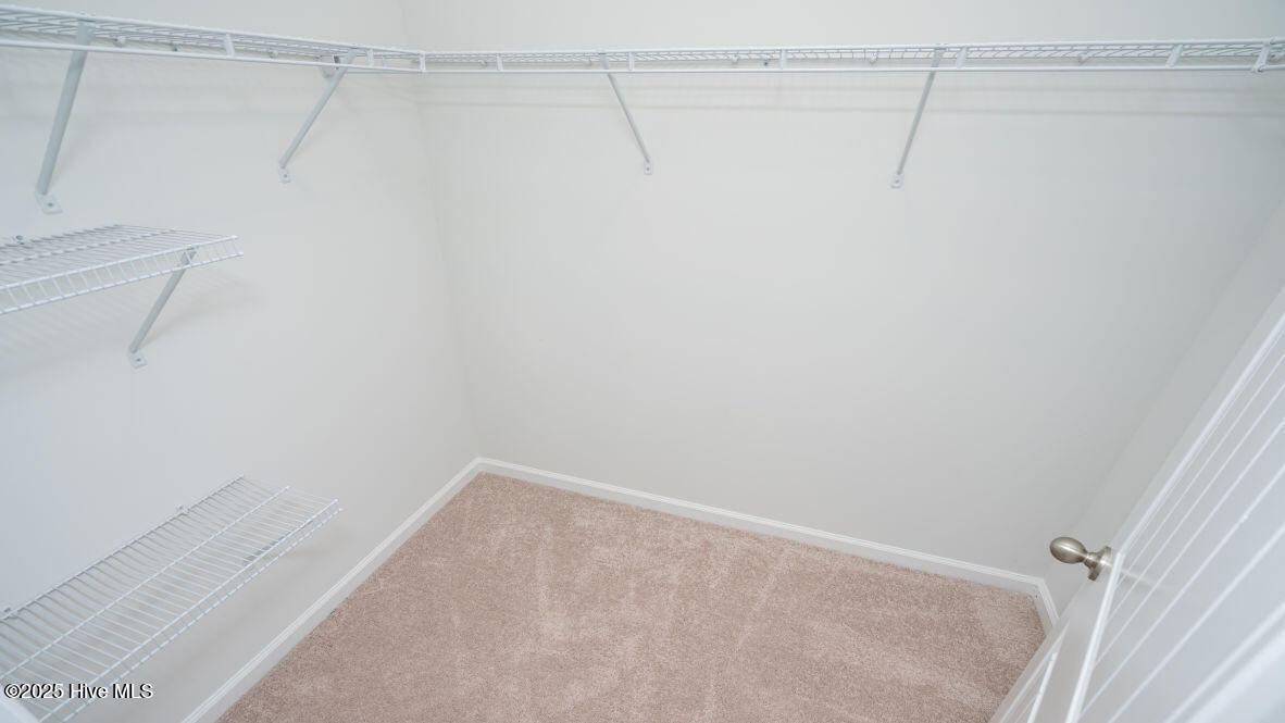 100541583 | Photo 23