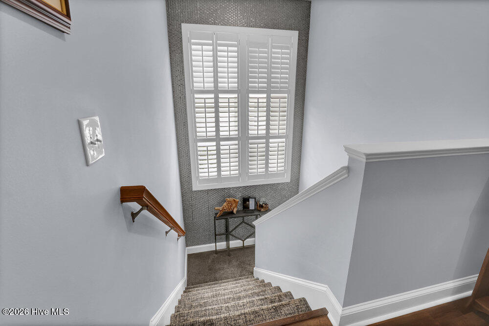 100562970 | Photo 24