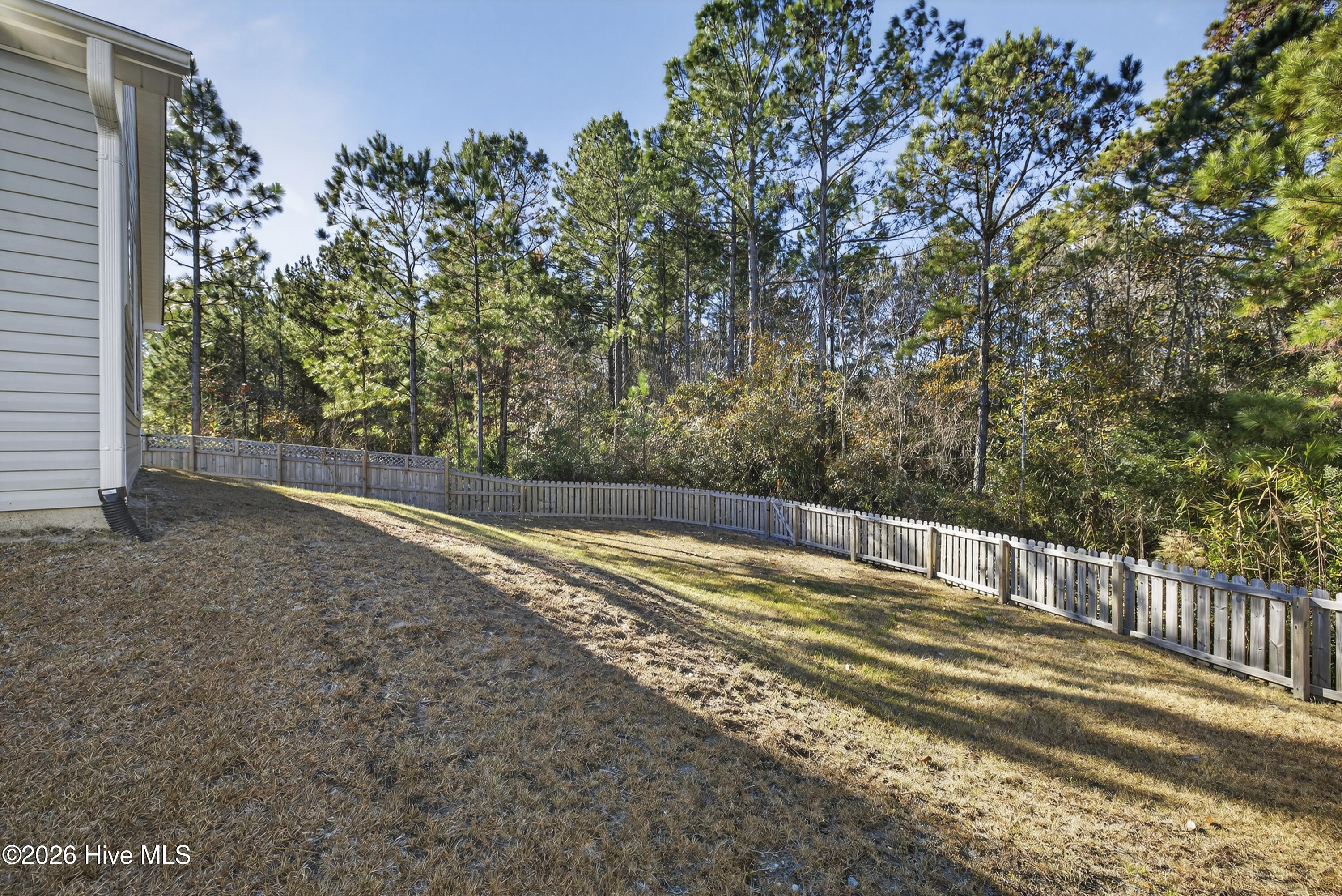 100548256 | Photo 52