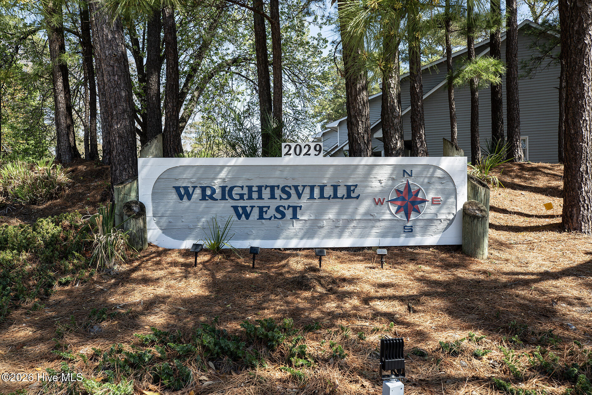 100561639 | Photo 42