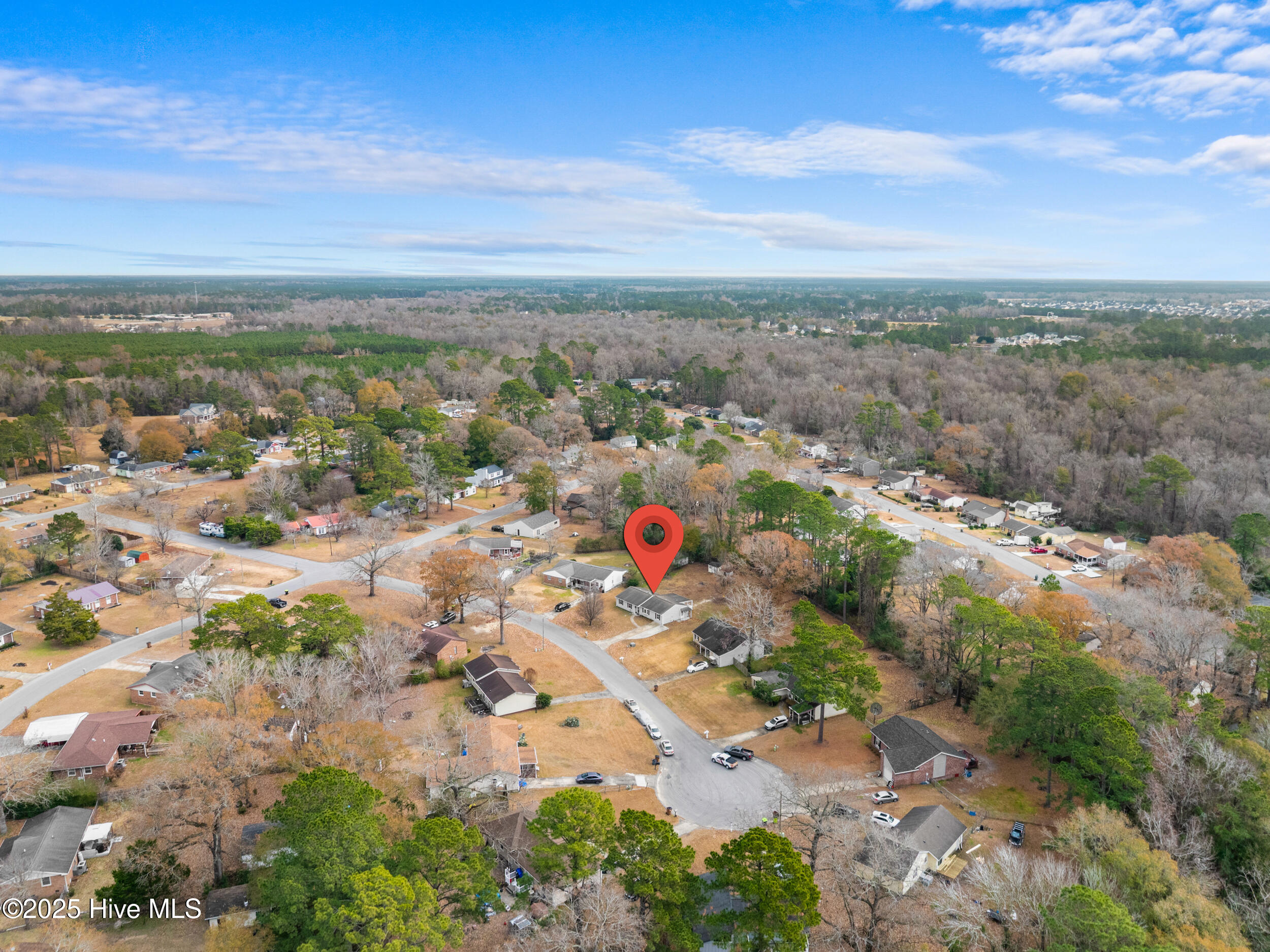 100546009 | Photo 60