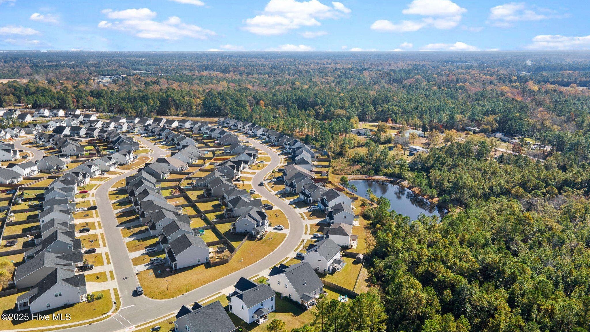 100541637 | Photo 58