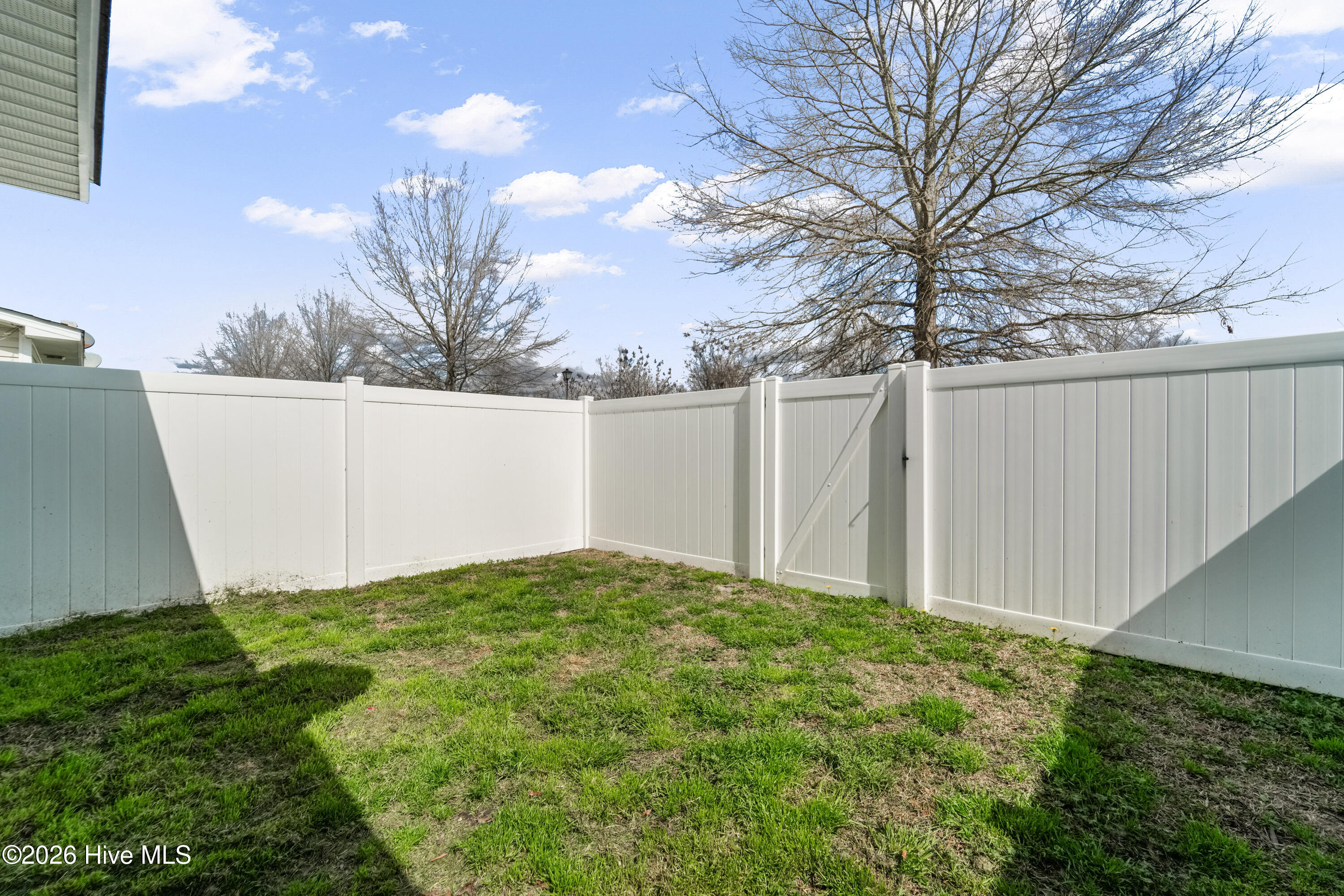 100558944 | Photo 11