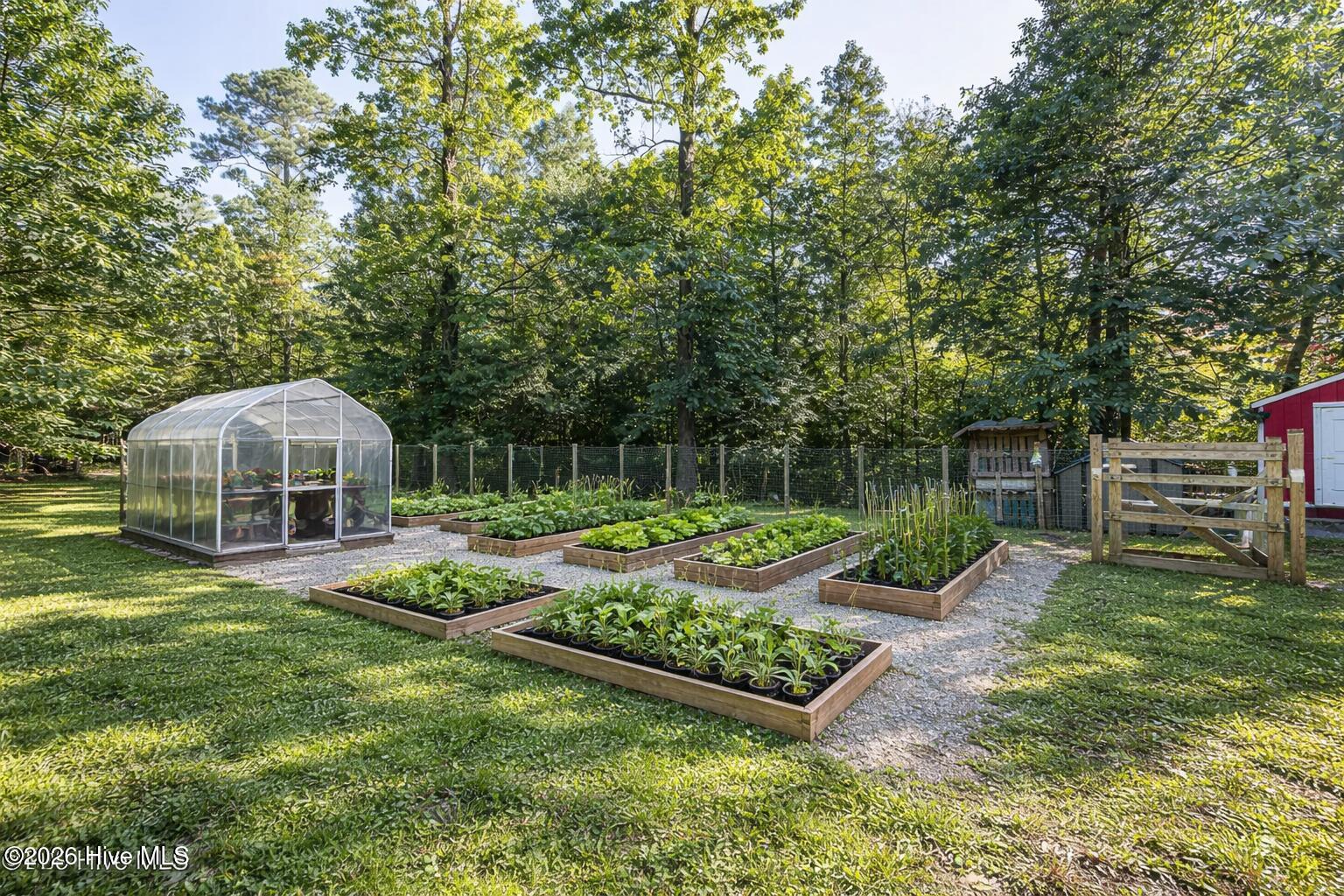 100528146 | Photo 53