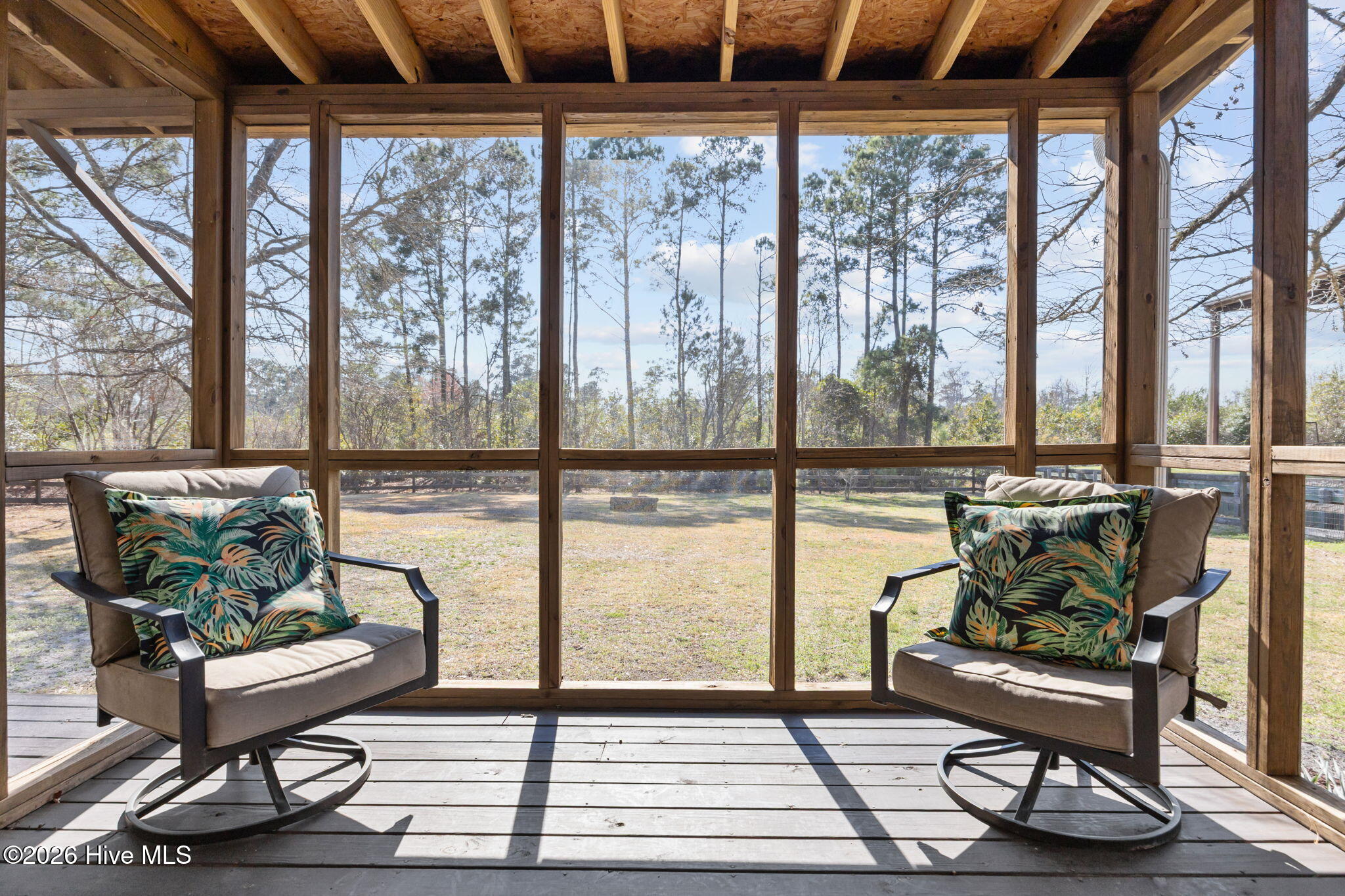 100559497 | Photo 34