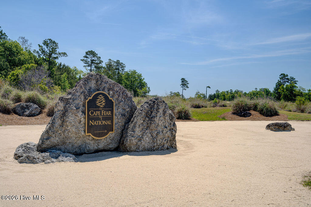 100554107 | Photo 69