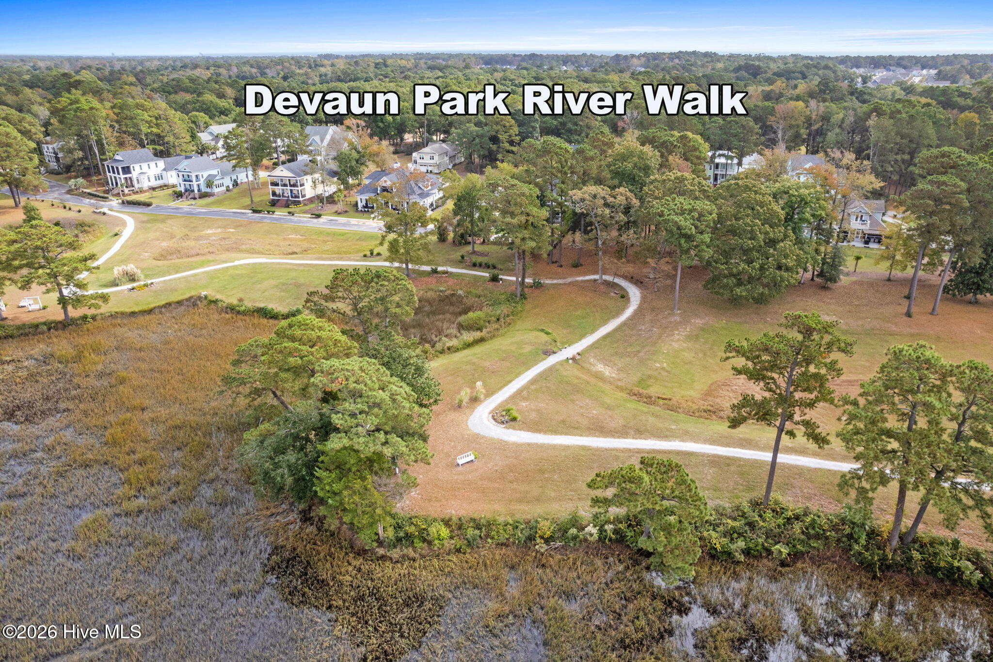 100553997 | Photo 66