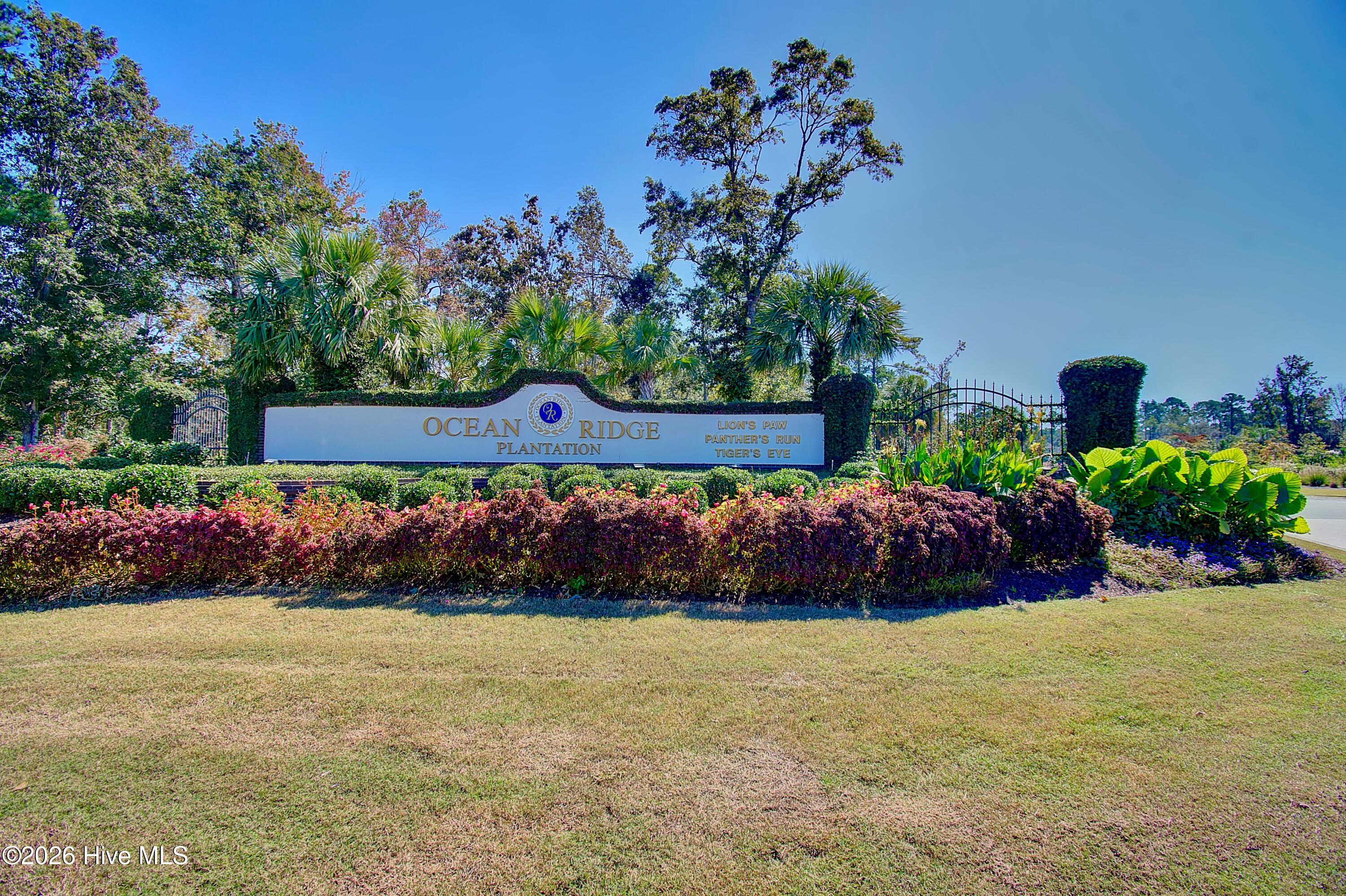 100570041 | Photo 18