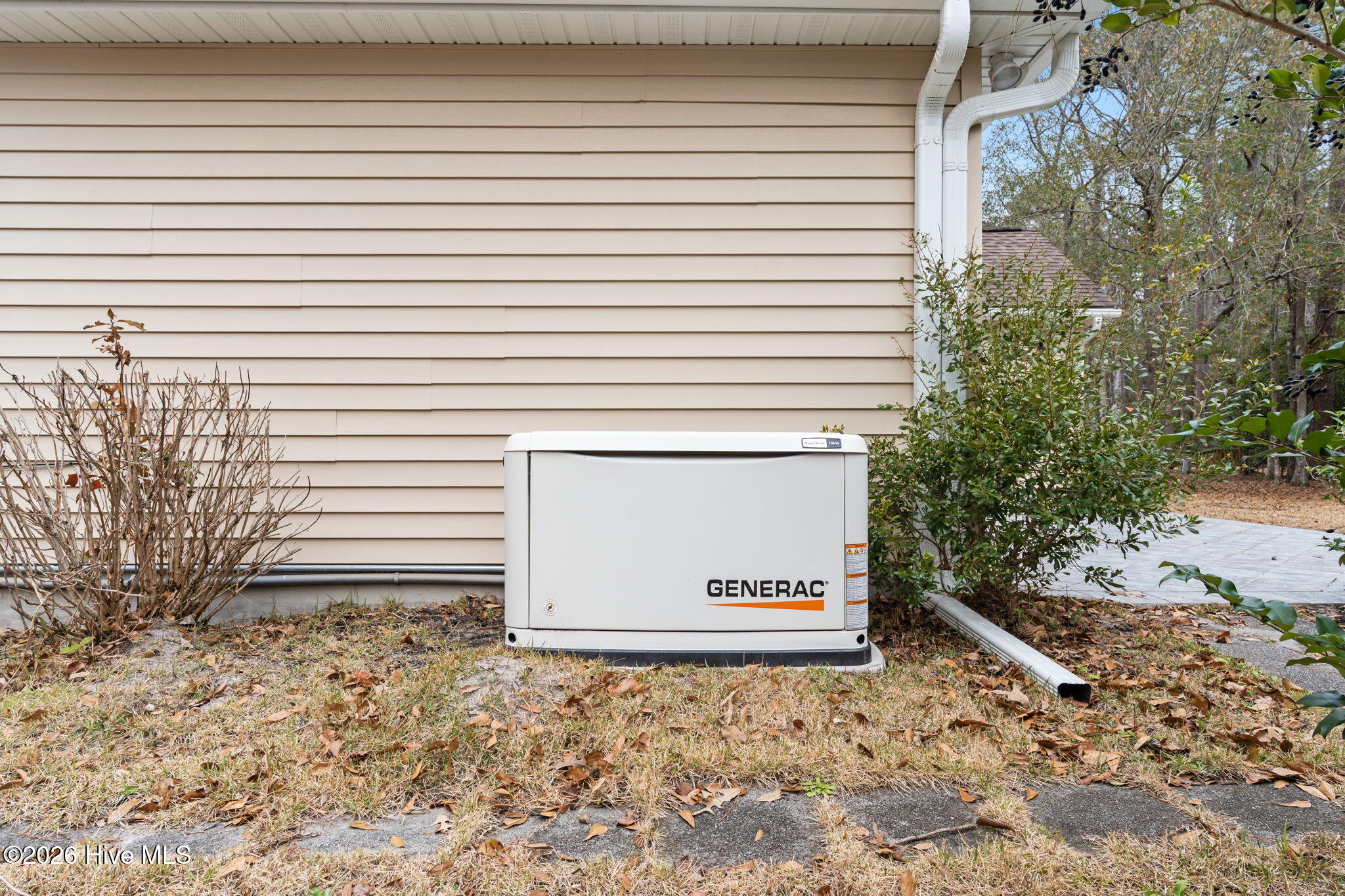 100549581 | Photo 45