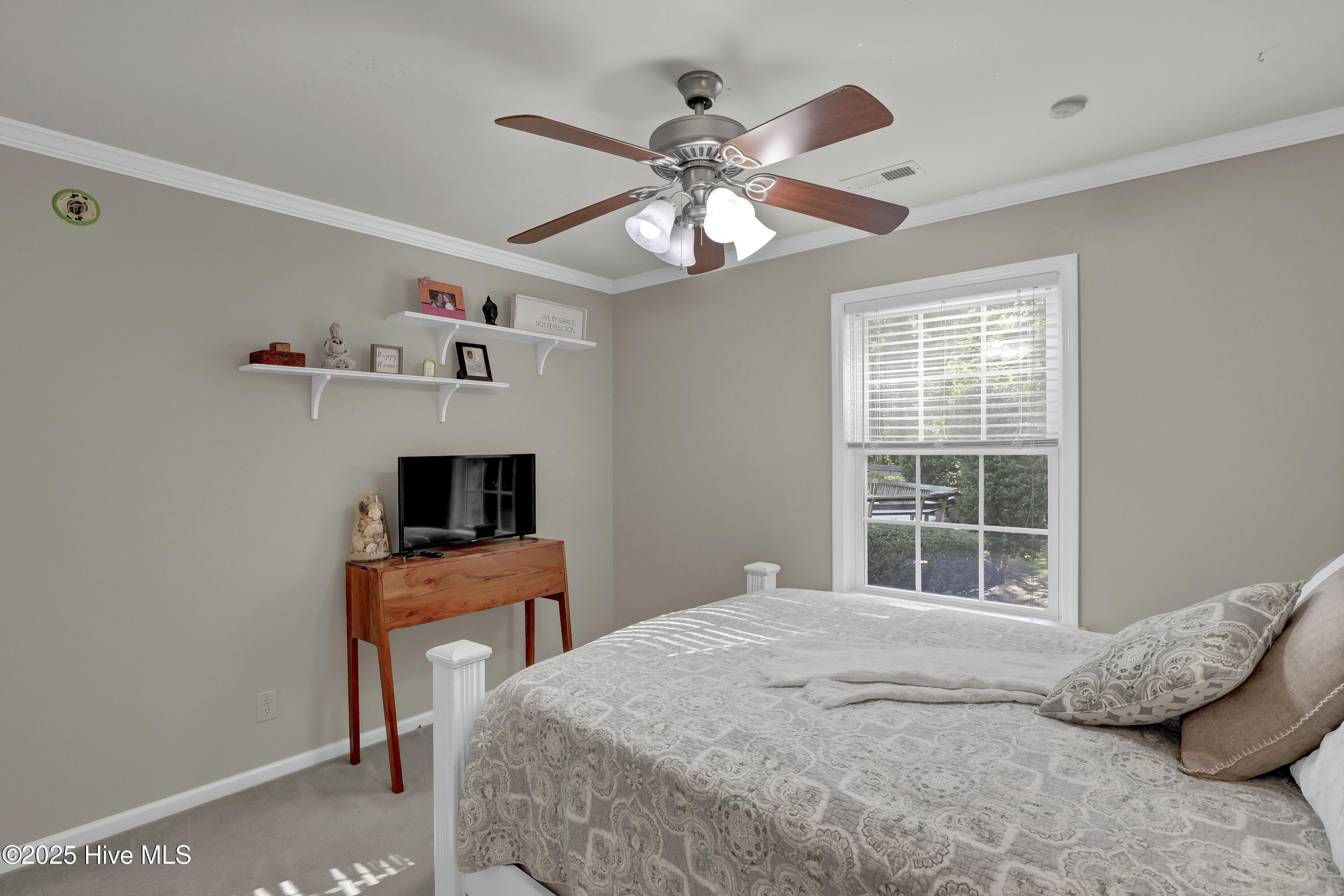 100525389 | Photo 18