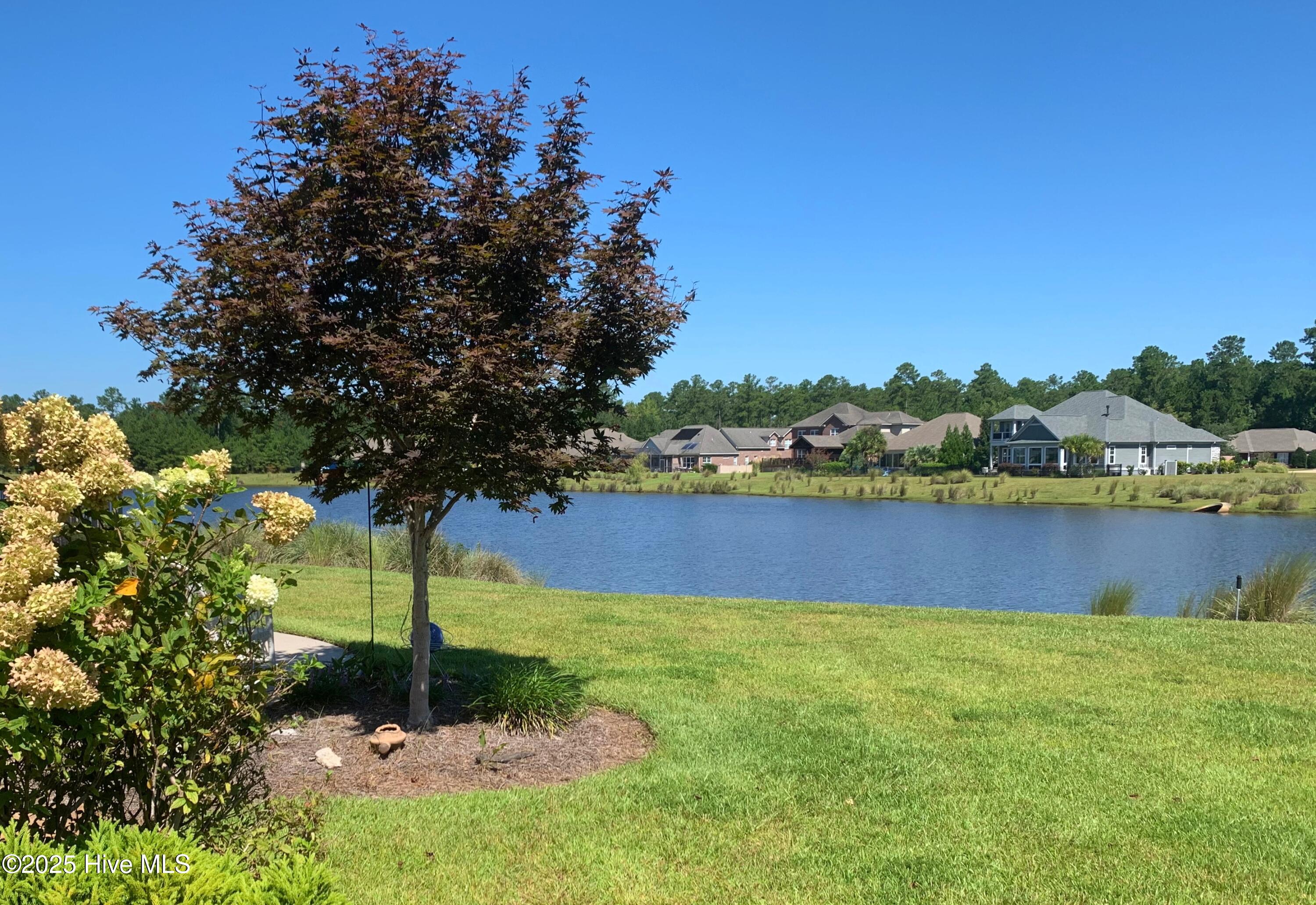 100534763 | Photo 52