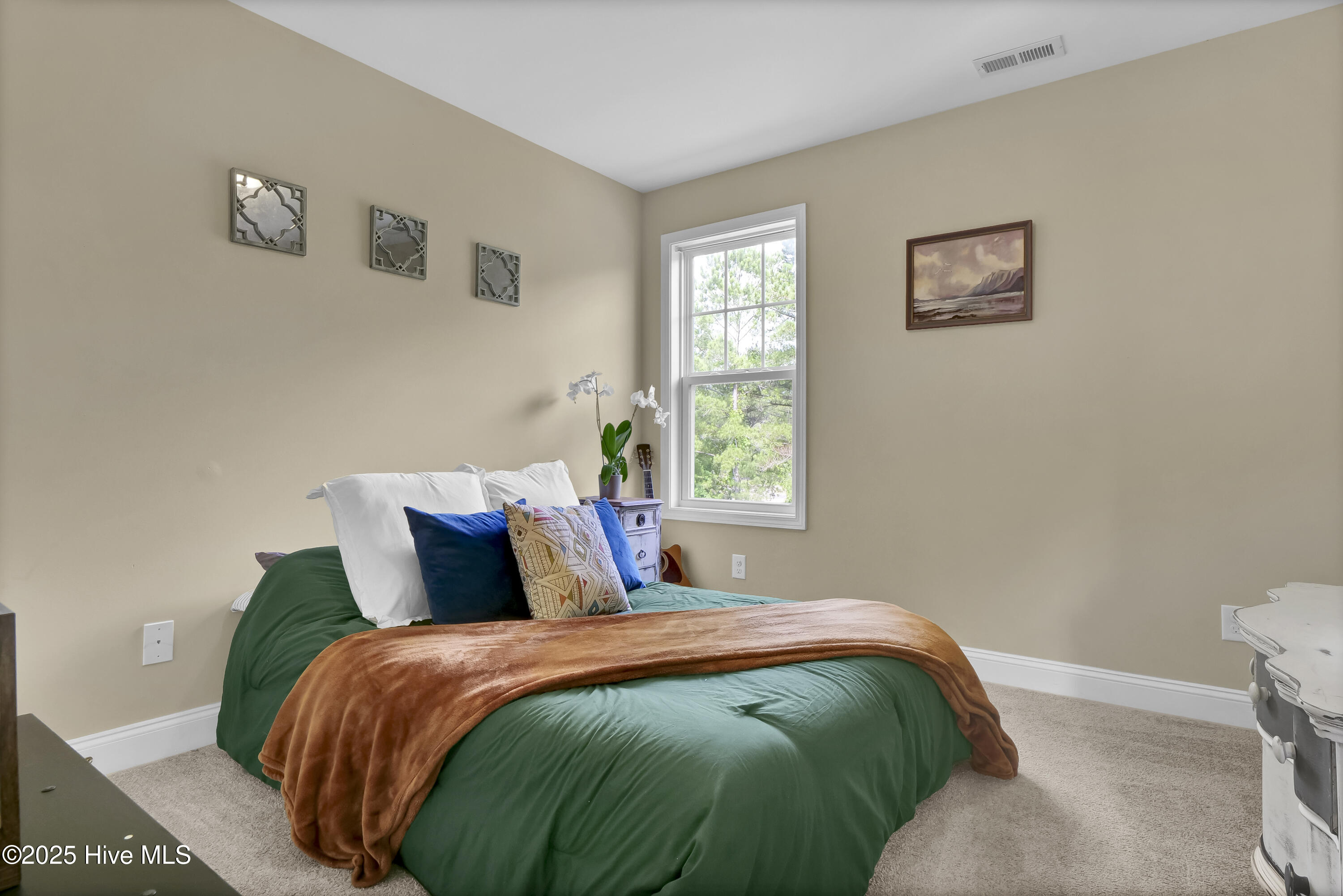 100513564 | Photo 20