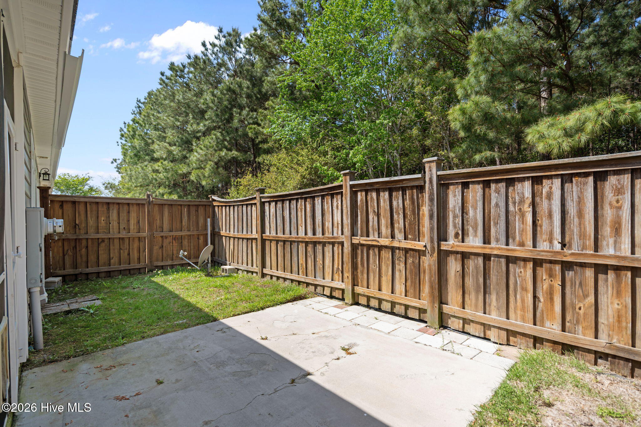 100569806 | Photo 38