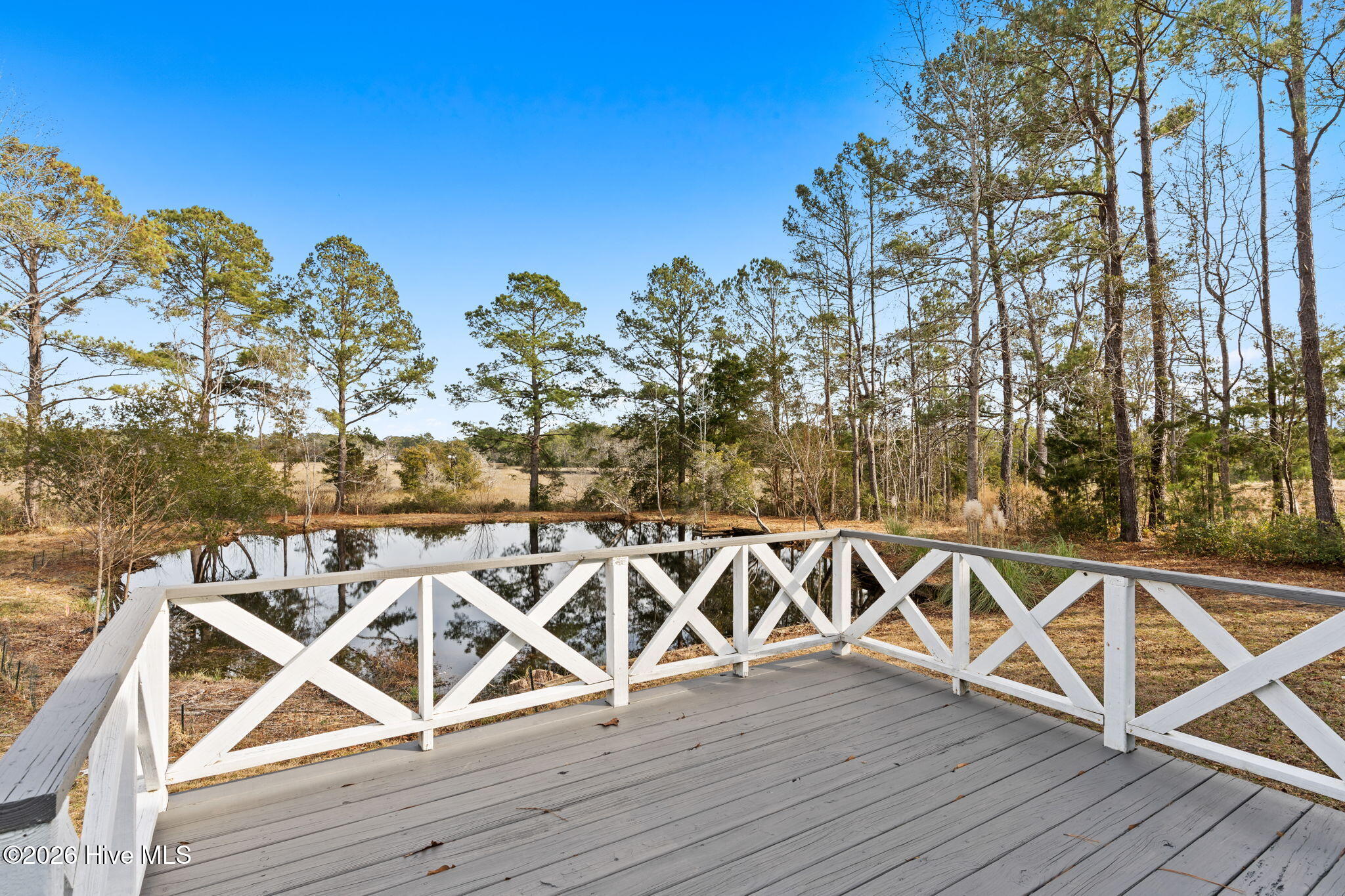 100551725 | Photo 54