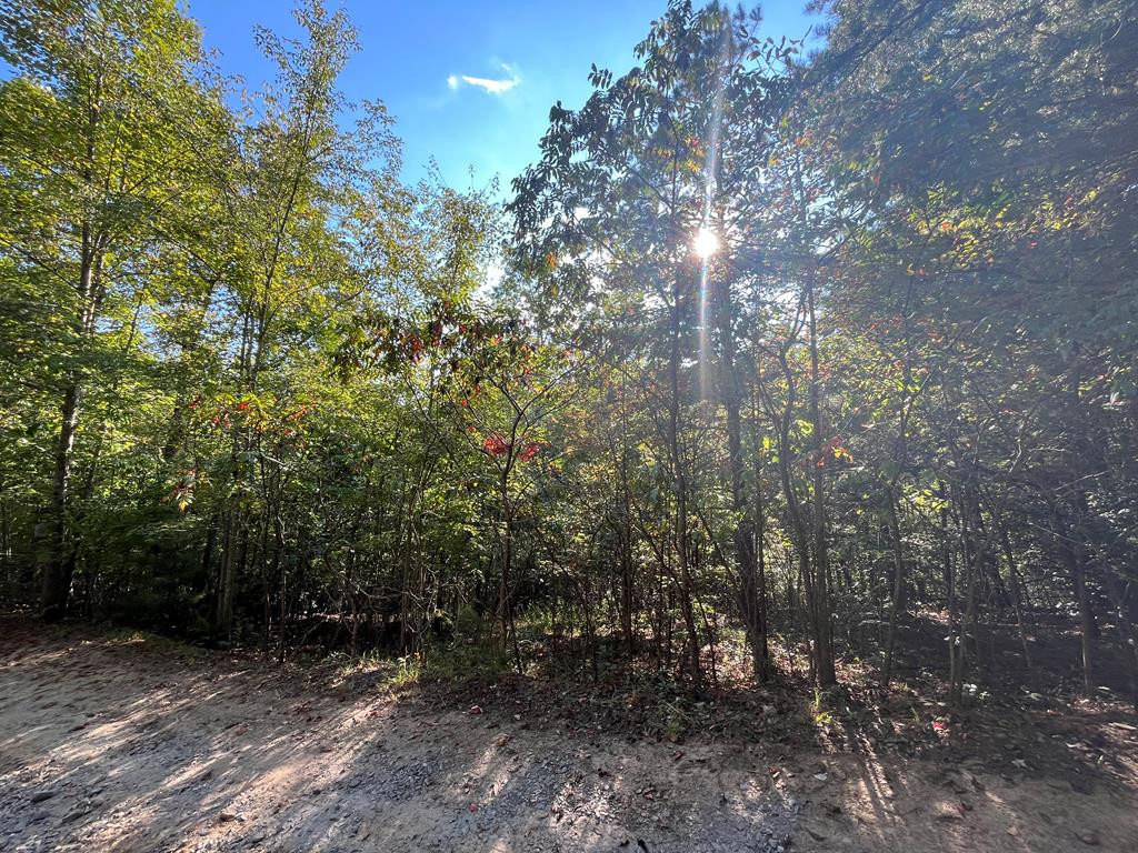 TBD Posey, Murphy, North Carolina, 0 ,For sale,Posey,98543845 TBD Posey, Murphy, North Carolina, 0 ,For sale,Posey,98543845