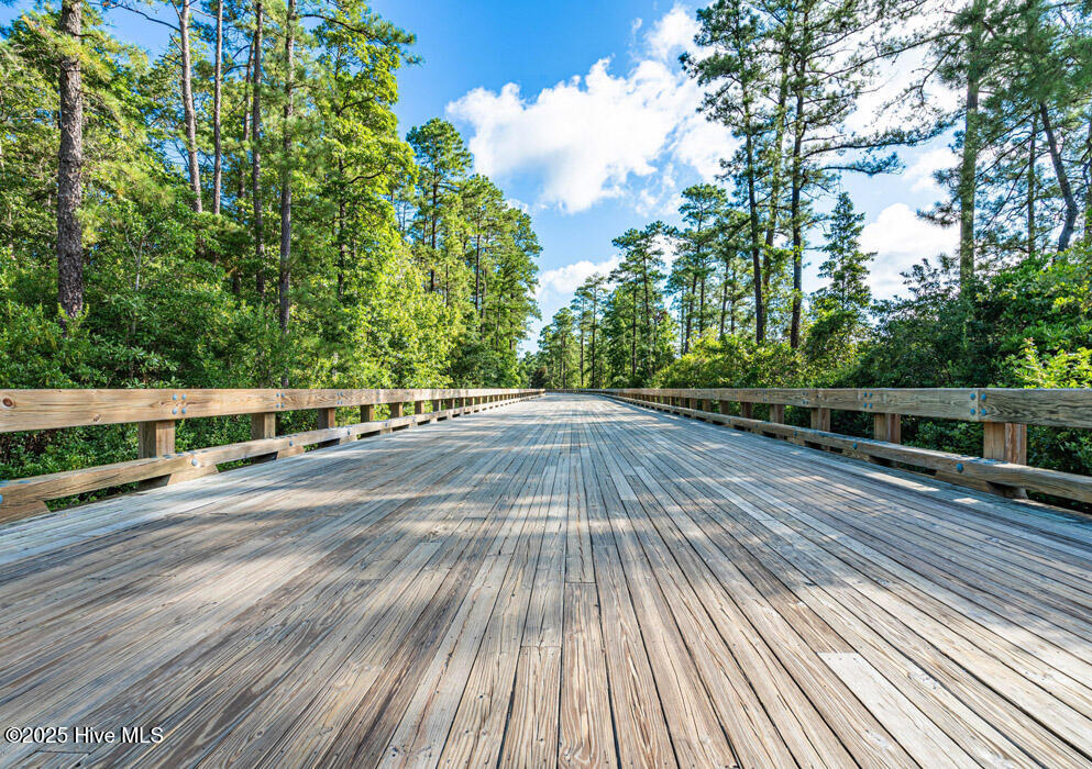 100527117 | Photo 62