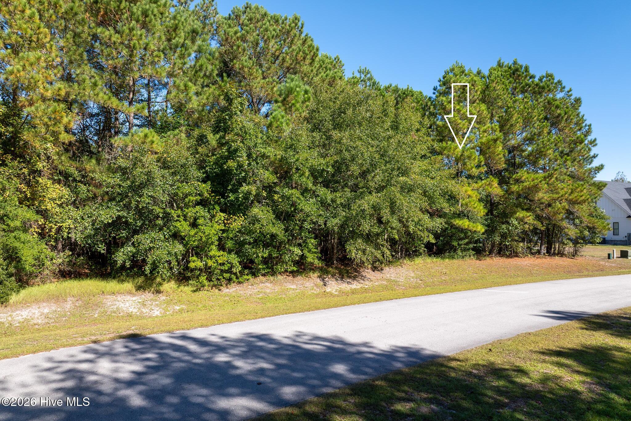 100609007 | Photo 3