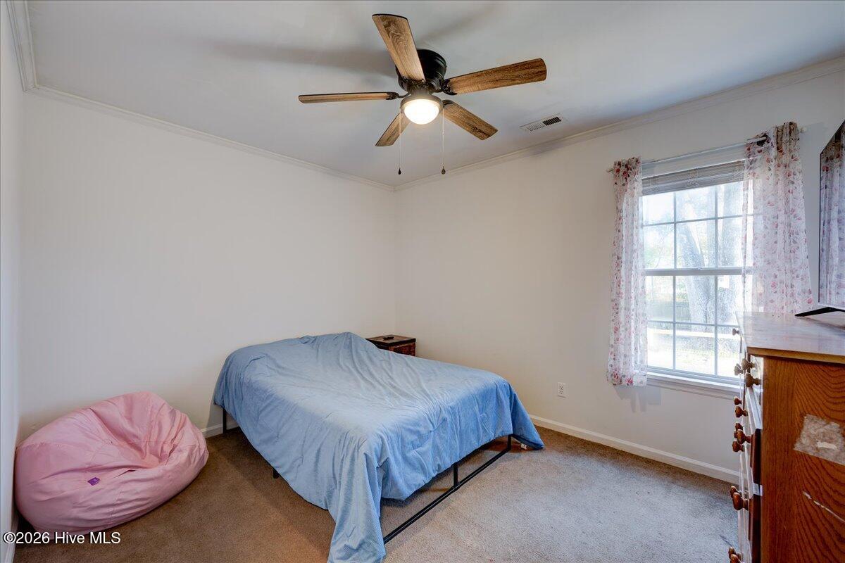 100548576 | Photo 23