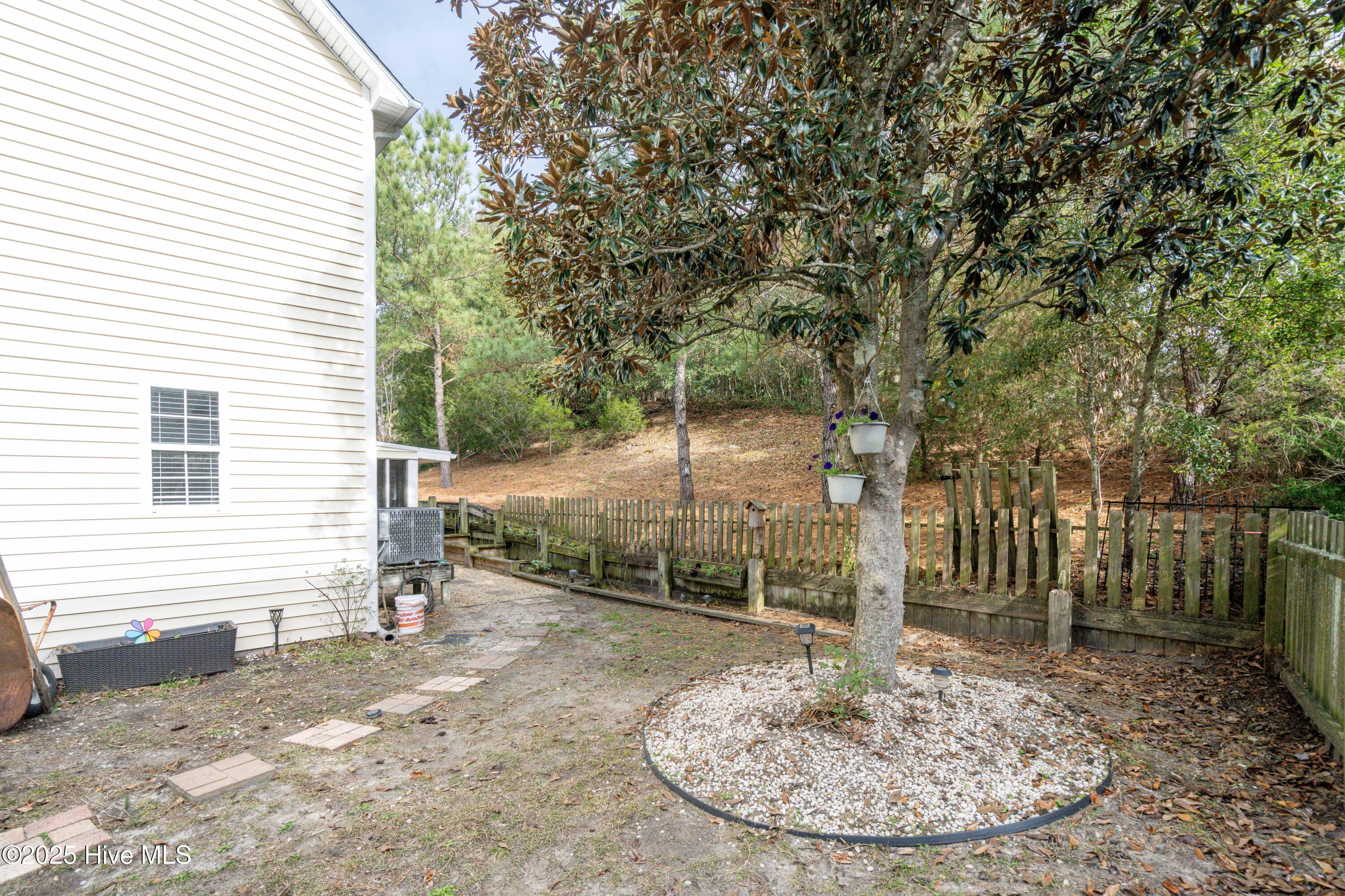 100546381 | Photo 26