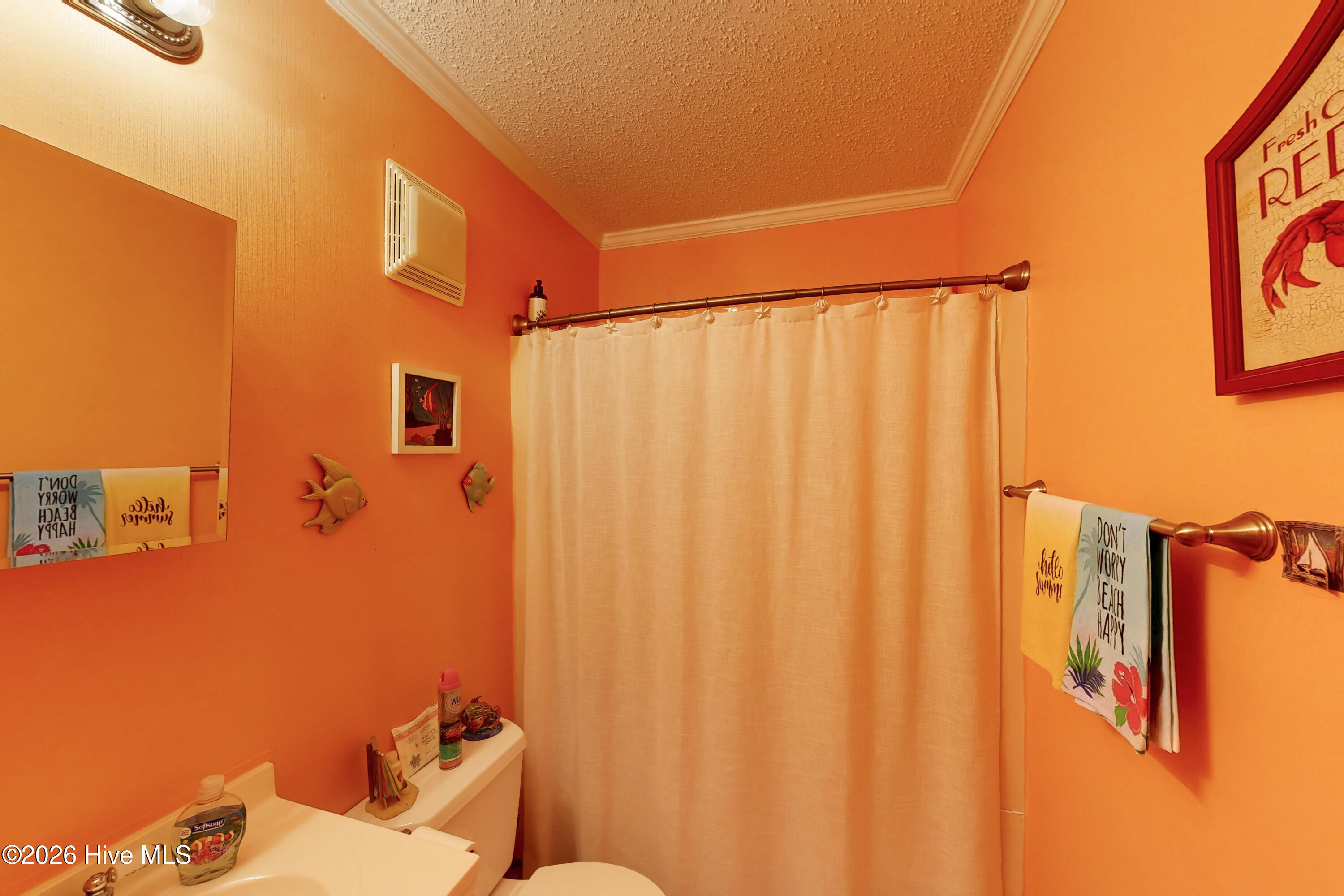 100566271 | Photo 23