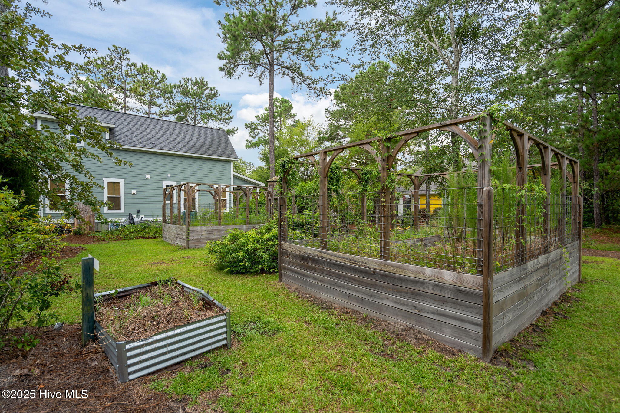 100524220 | Photo 61