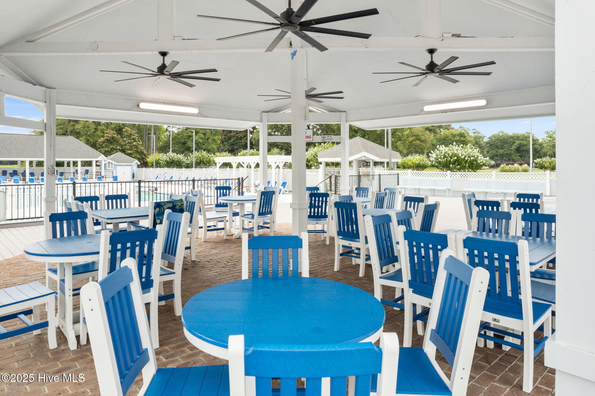 100535041 | Photo 51