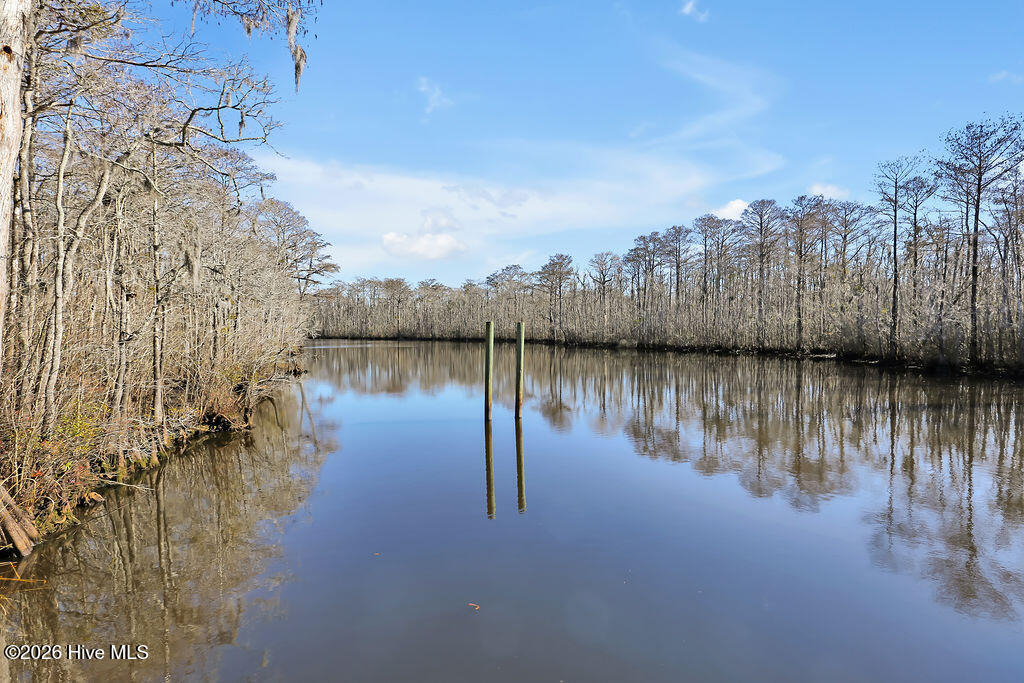 100548902 | Photo 40