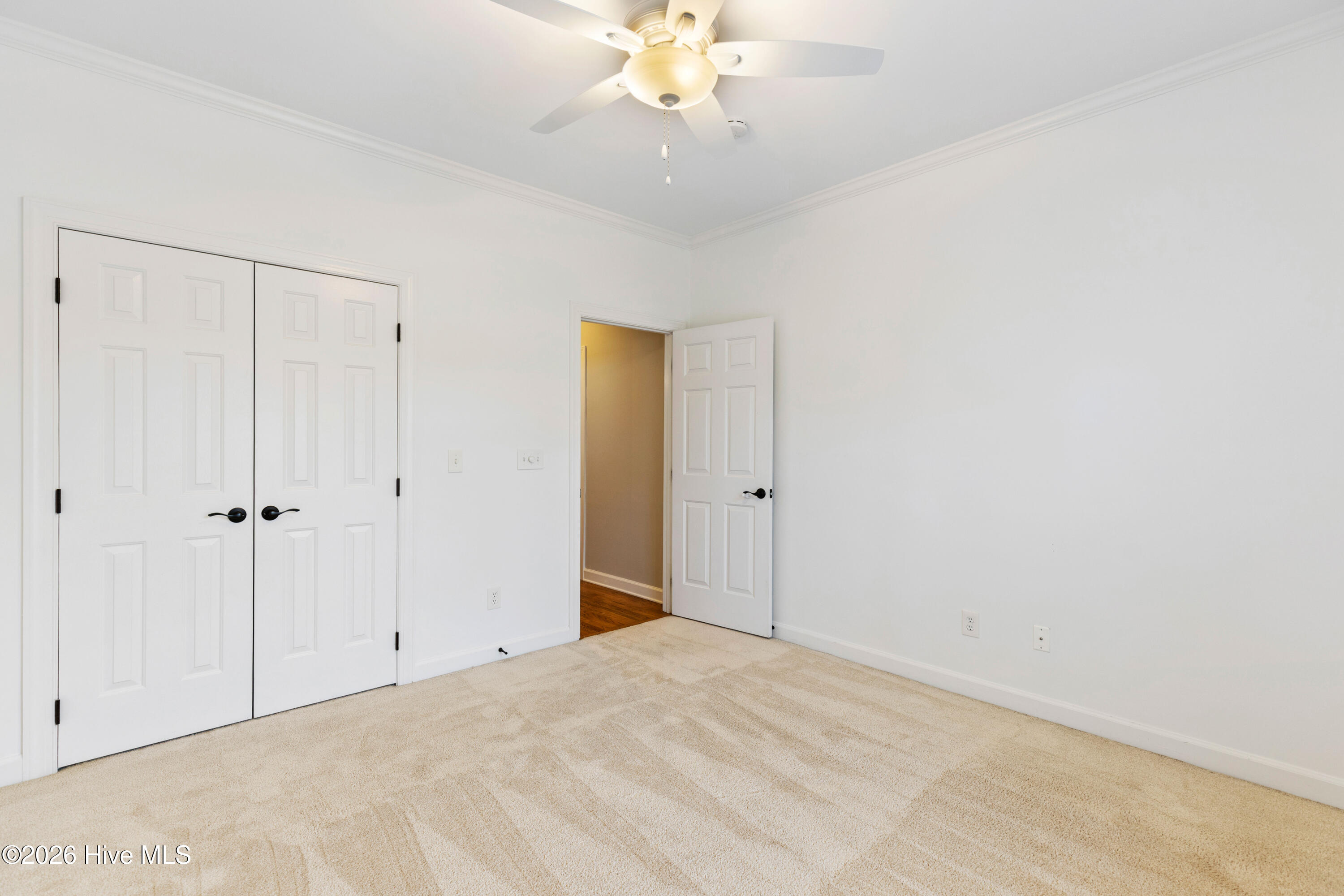 100560916 | Photo 52