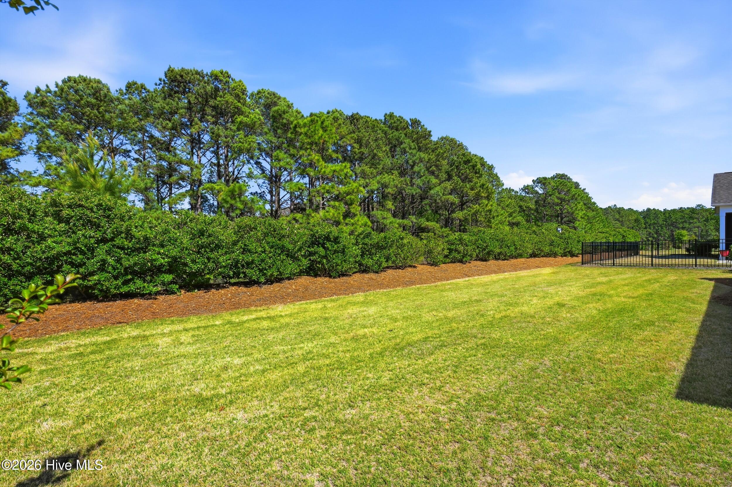 100565292 | Photo 42