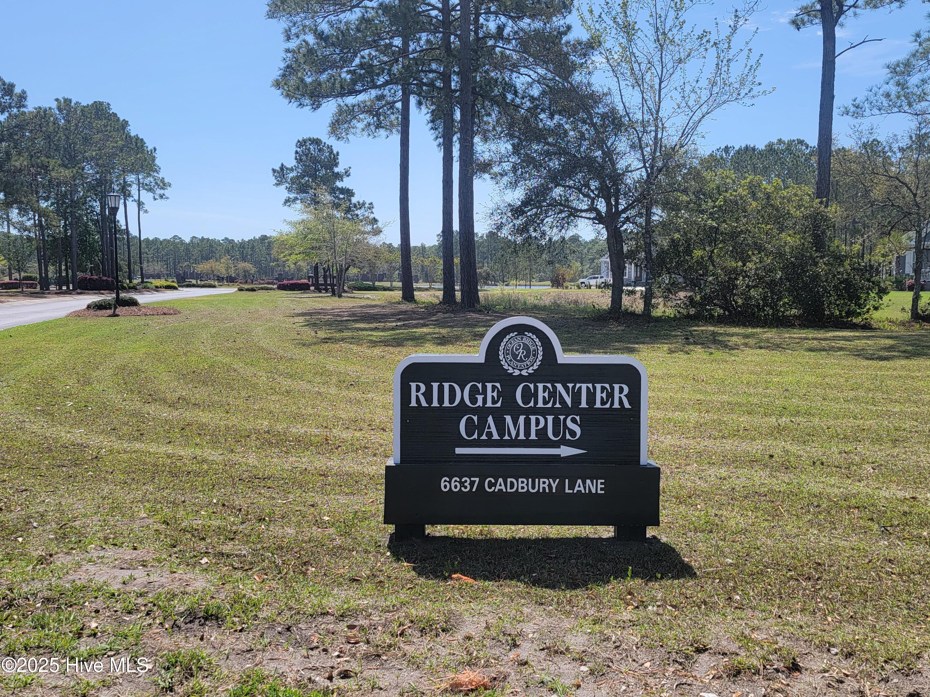 100507058 | Photo 21